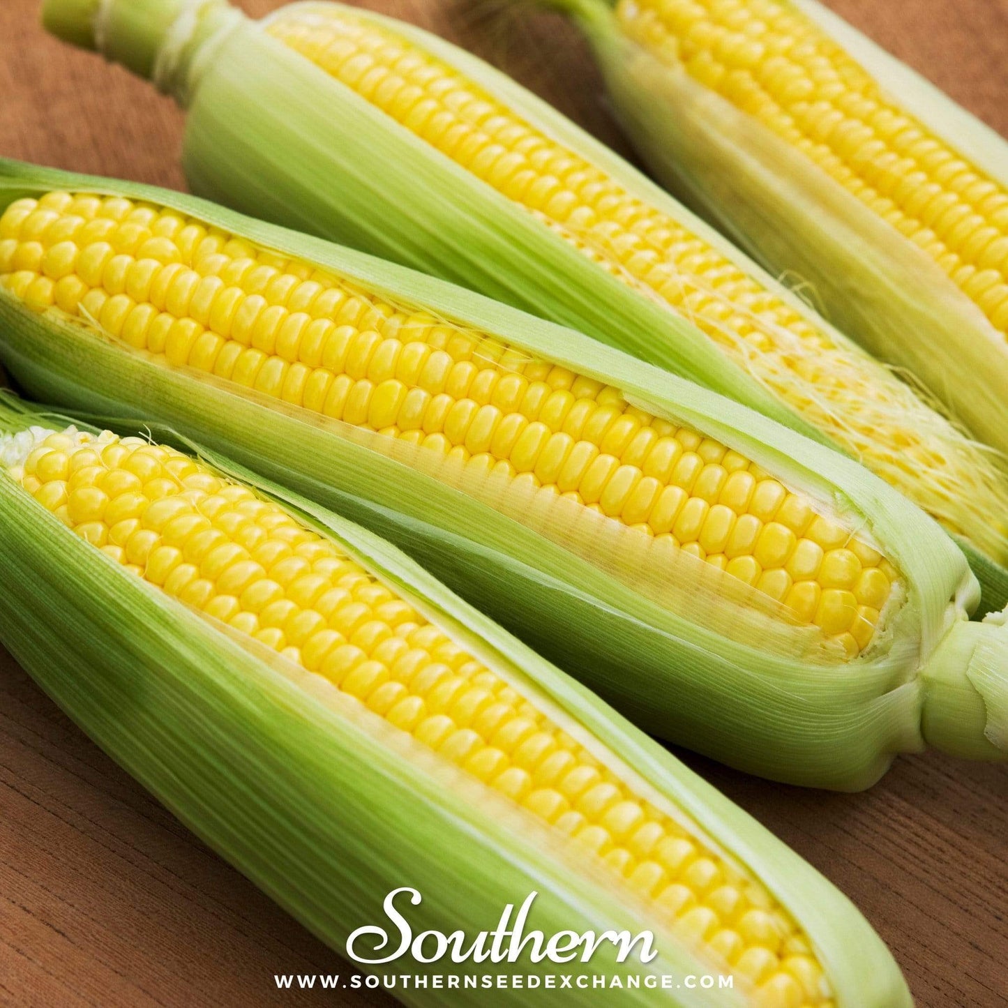 Bantam 12 Row Corn ā 30 Seeds
