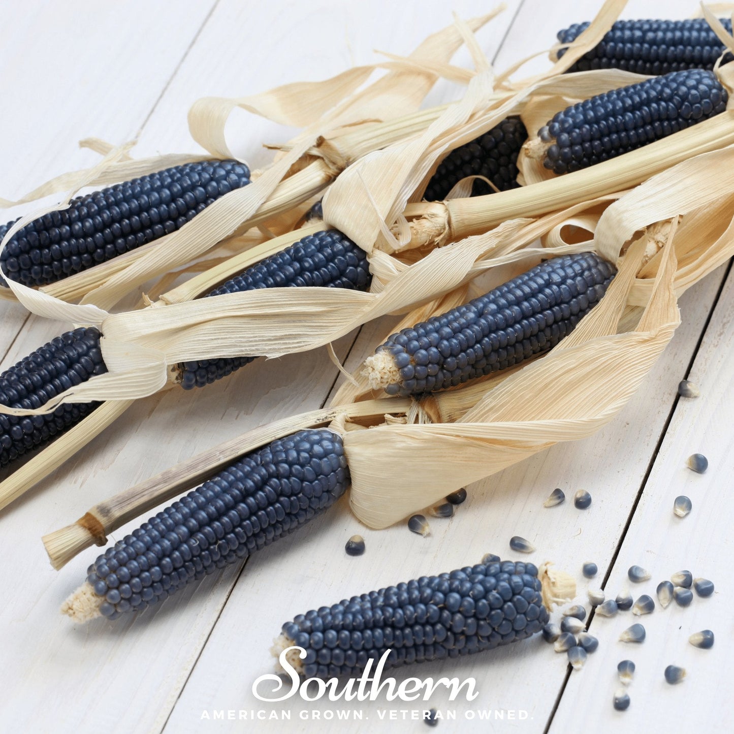 Hopi Blue Corn ā 30 Seeds