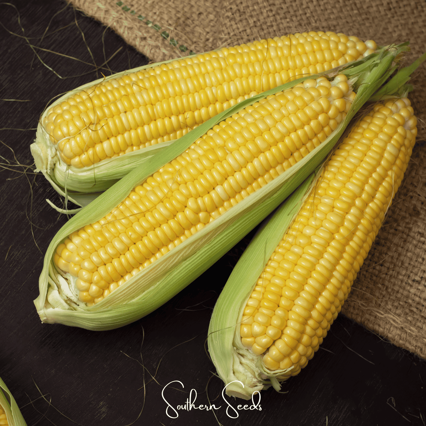 Kandy Korn Corn ā 30 Seeds