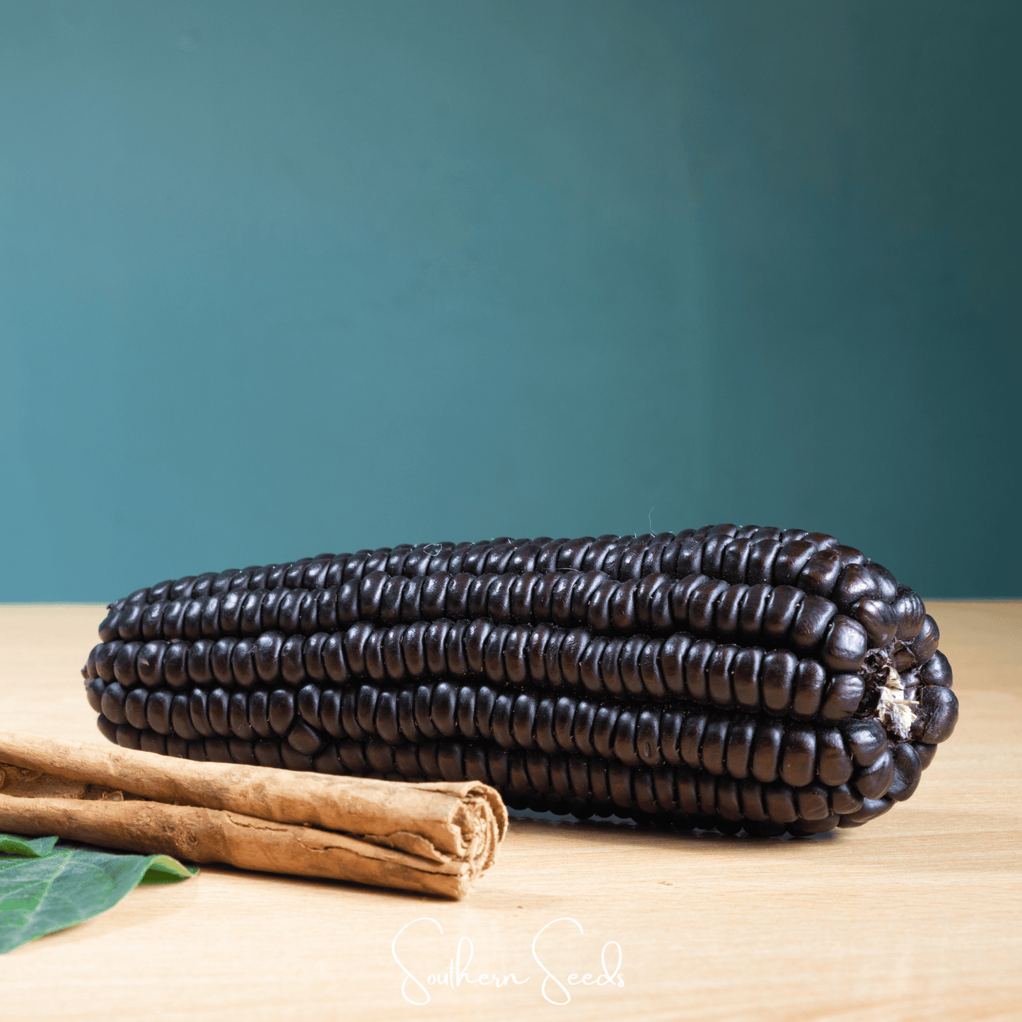 Morado Montana Maize Corn ā 25 Seeds