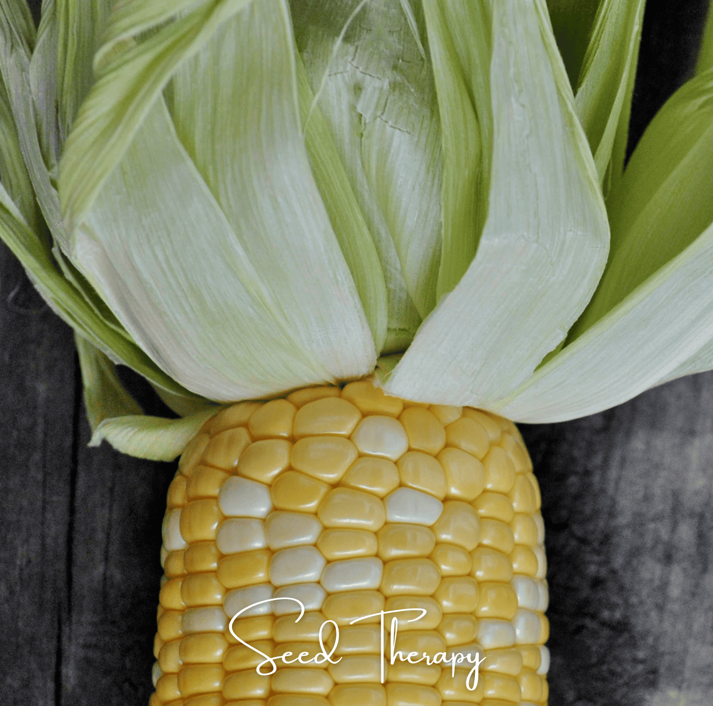 Peaches & Cream Corn ā 30 Seeds