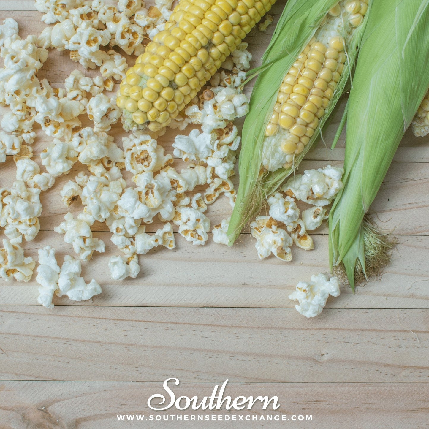 Popcorn Corn ā 30 Seeds