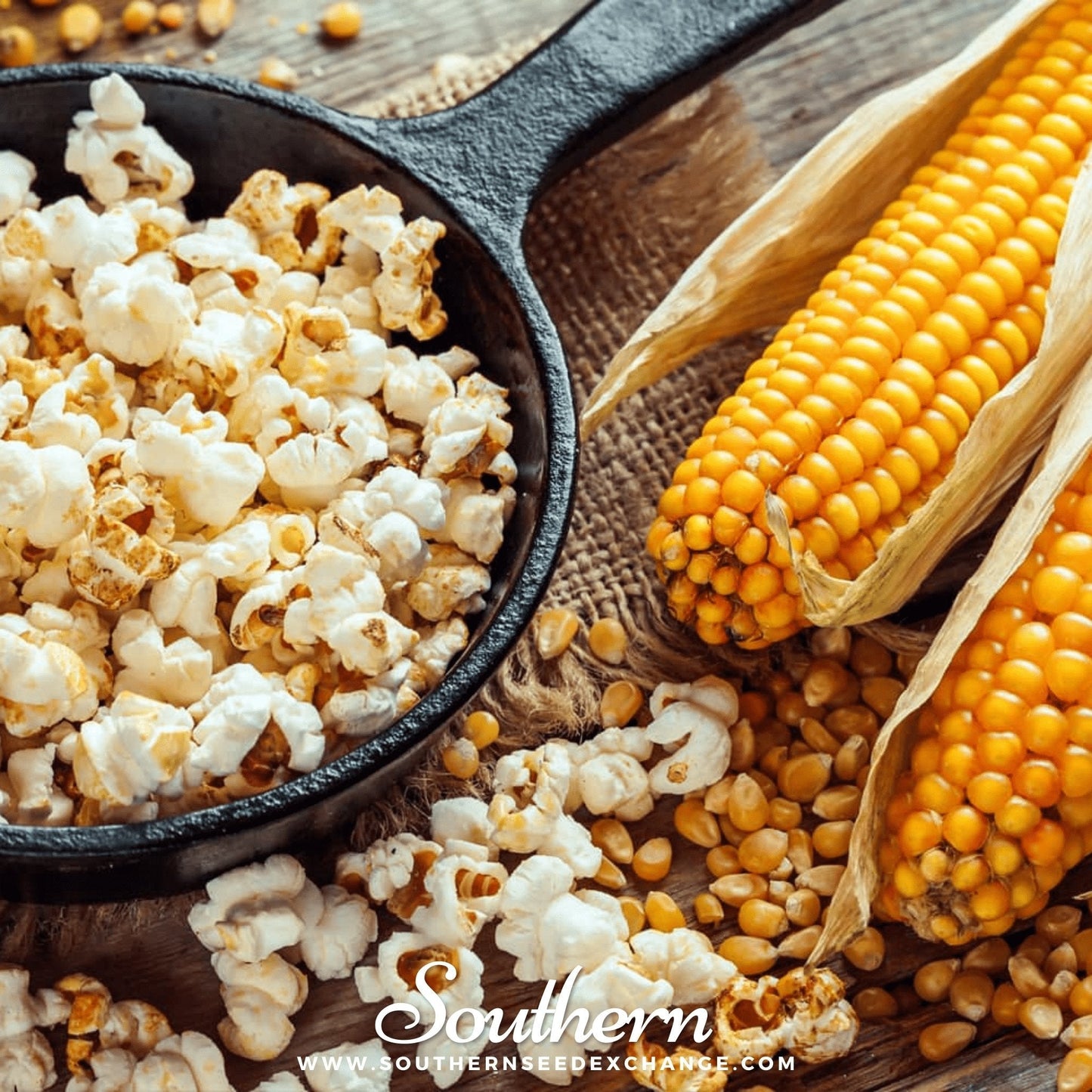 Popcorn Corn ā 30 Seeds