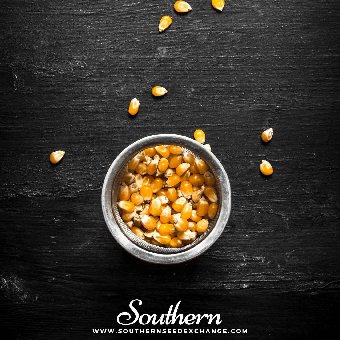 Popcorn Corn ā 30 Seeds