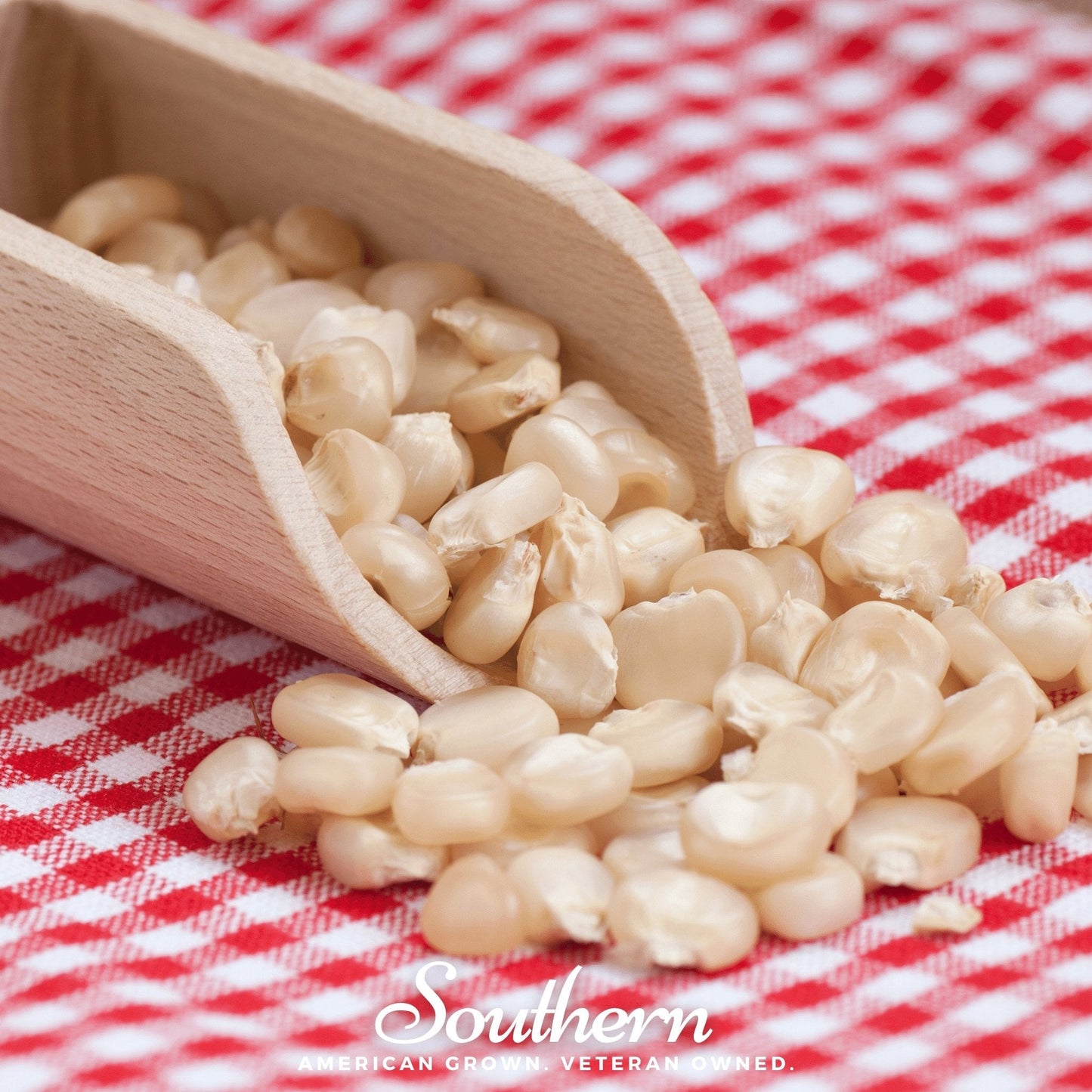 Stowells Evergreen Sweet Corn ā 30 Seeds
