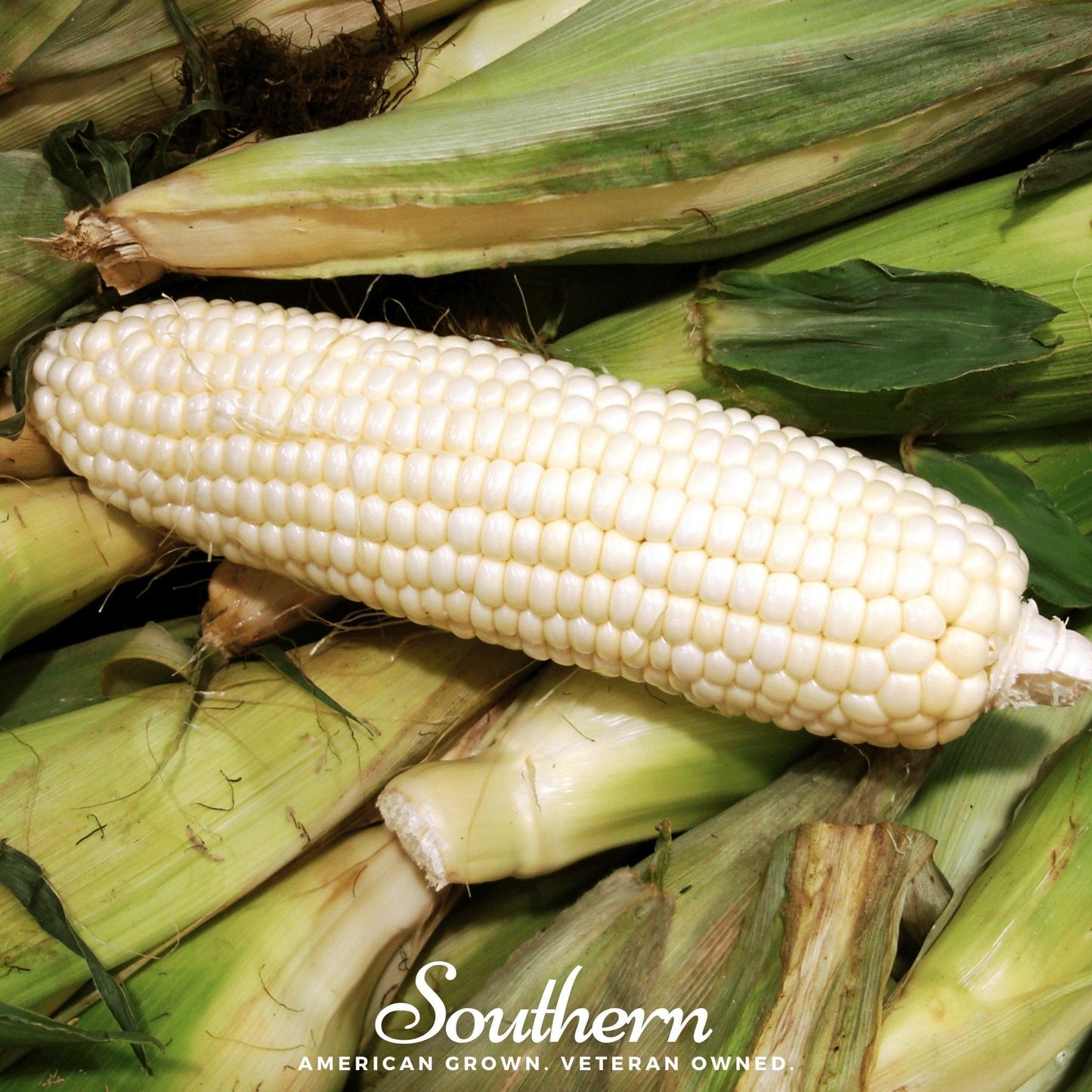 Stowells Evergreen Sweet Corn ā 30 Seeds