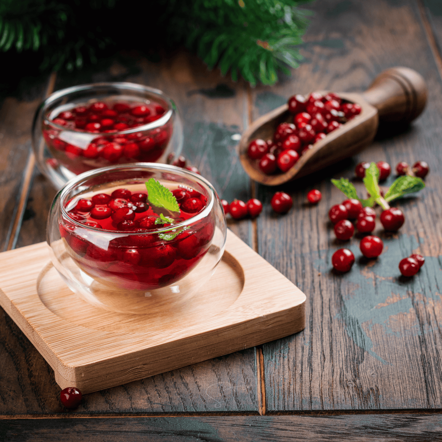 Cranberry, American ā 50 Seeds
