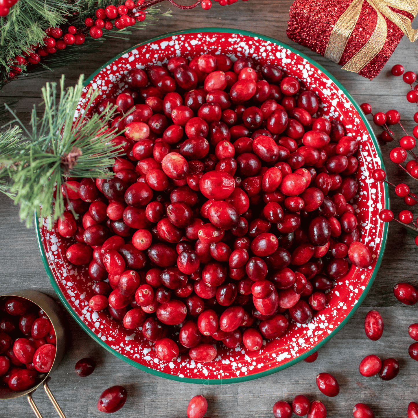 Cranberry, American ā 50 Seeds