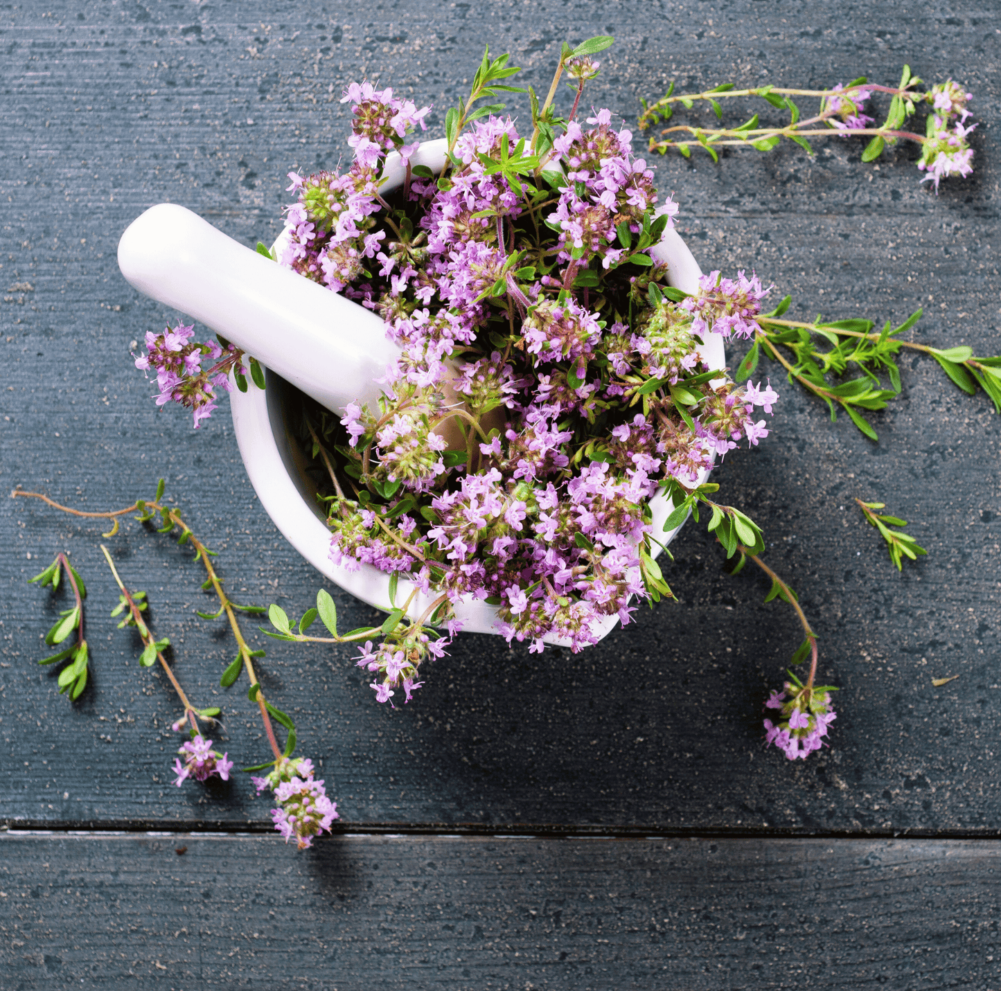 Creeping Thyme ā 250 Seeds