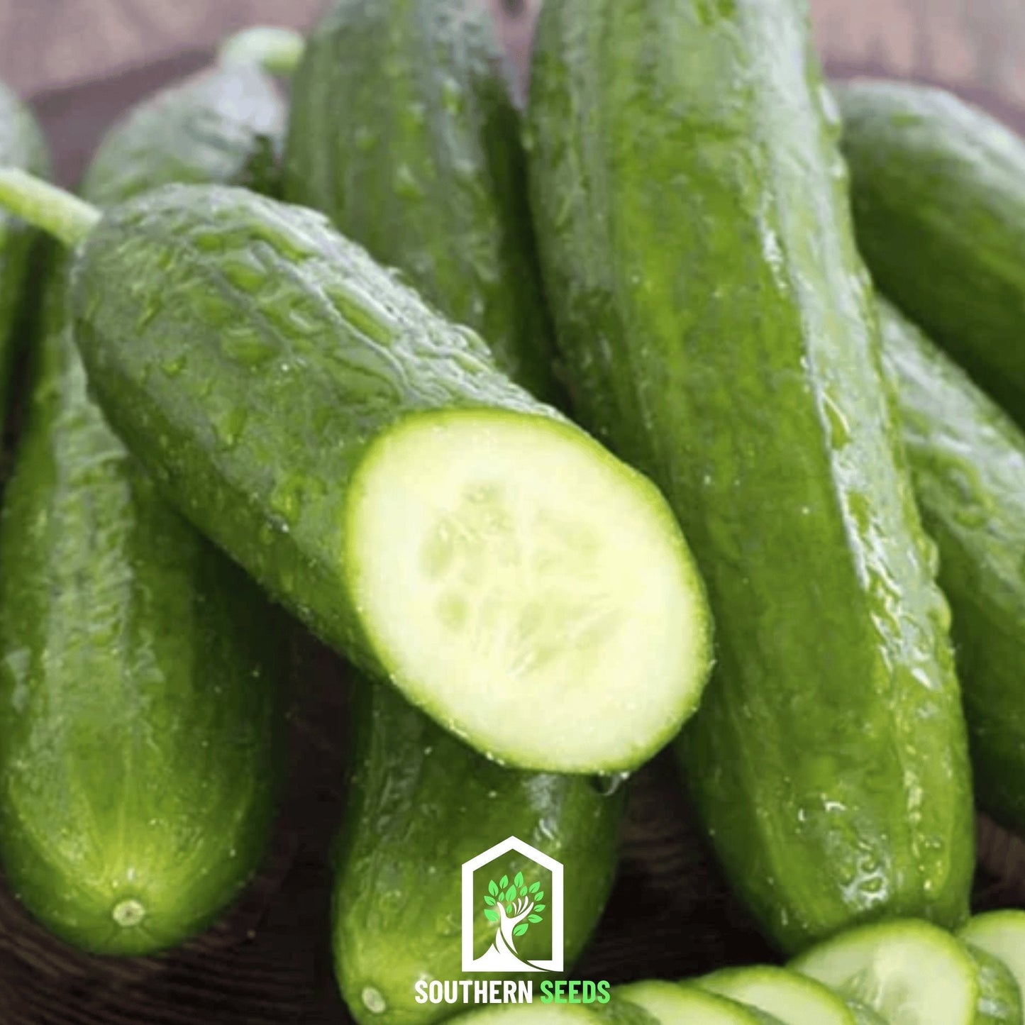 Beit Alpha Cucumber ā 30 Seeds