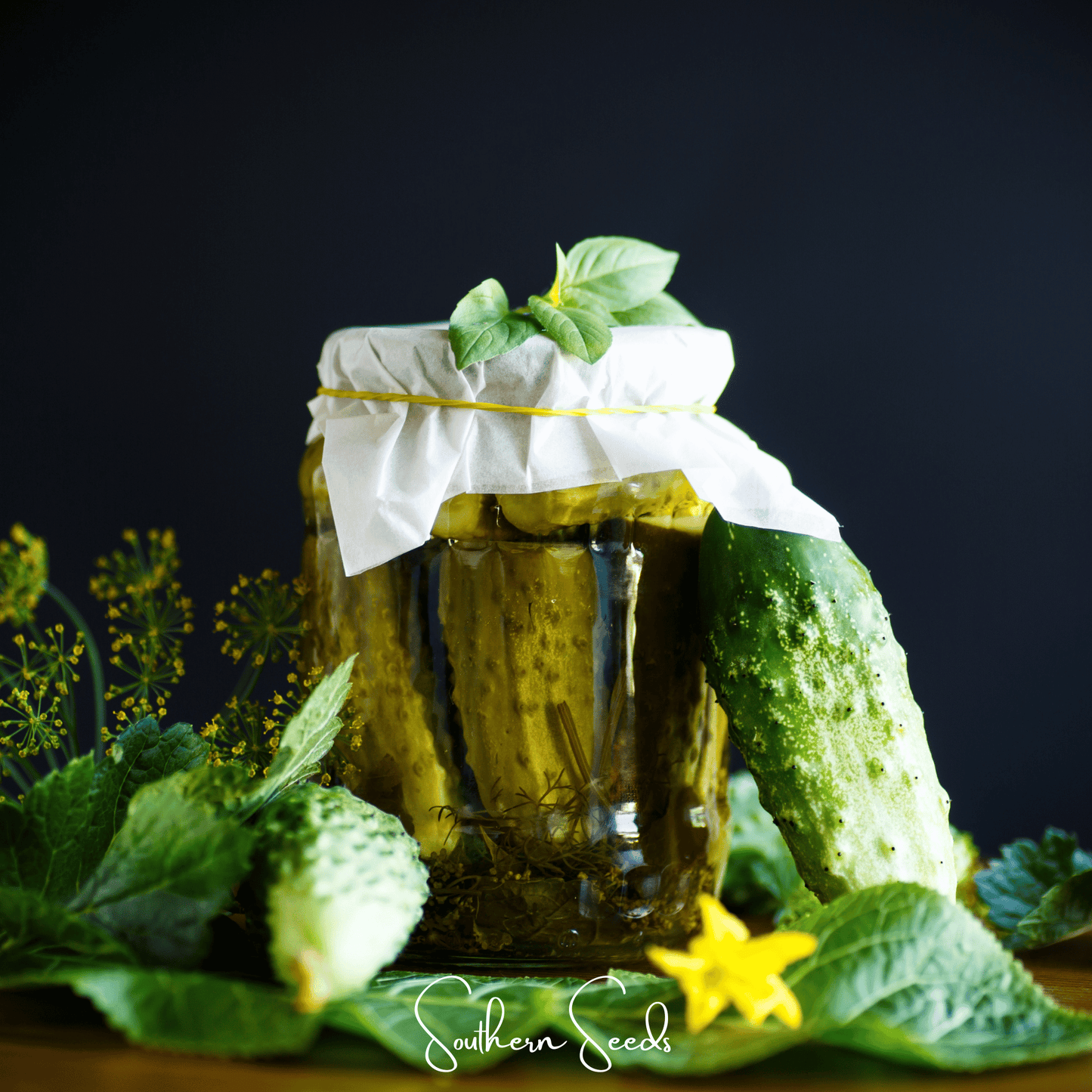 H-19 Little Leaf Cucumber ā 30 Seeds