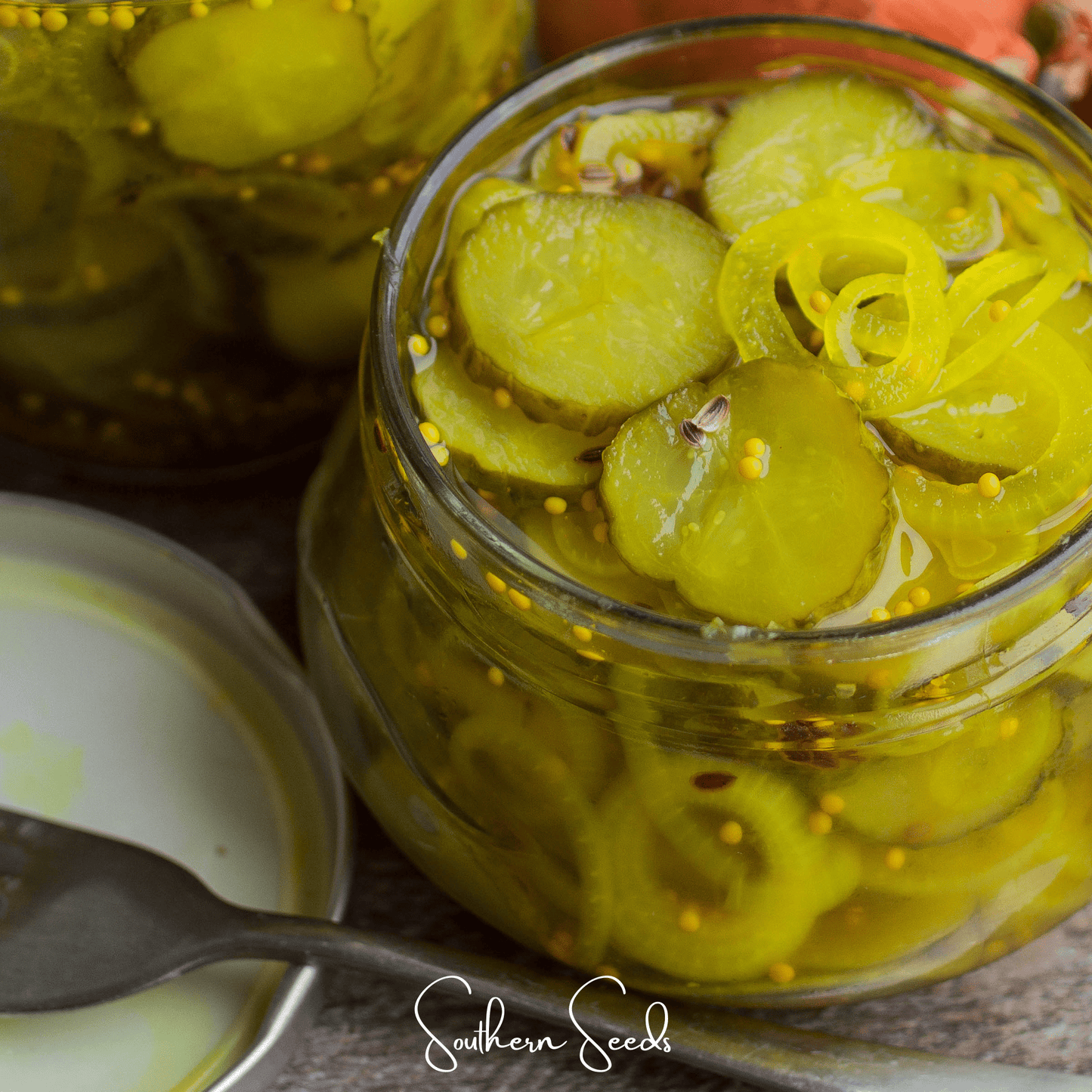 National Pickling Cucumber ā 30 Seeds