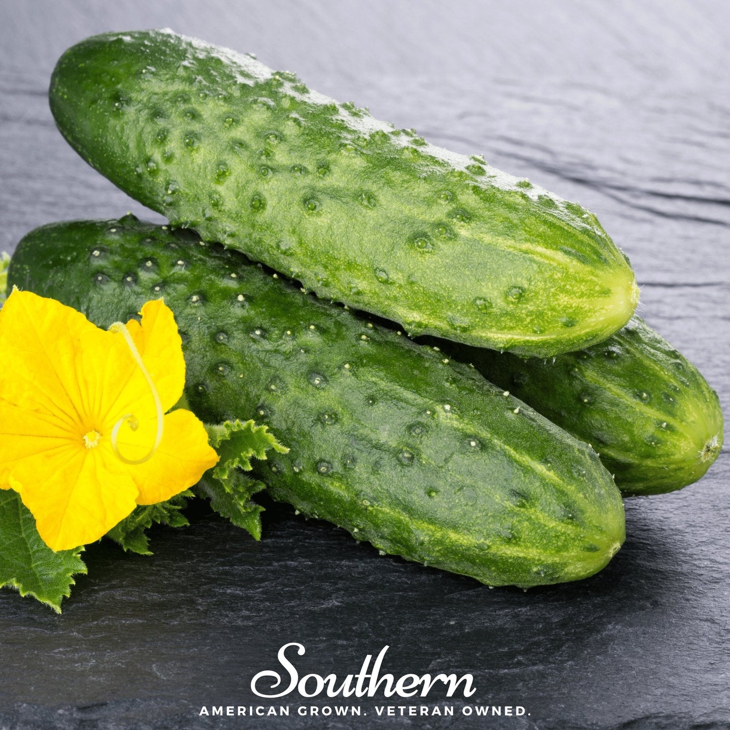 Pioneer Cucumber ā 30 Seeds
