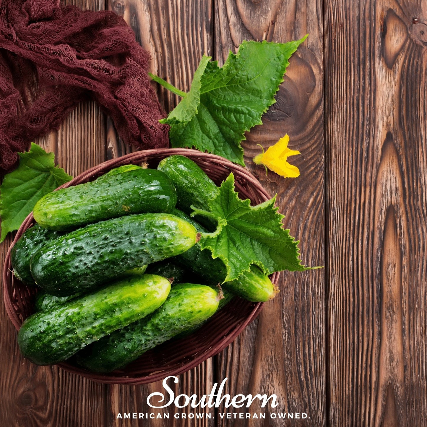 Pioneer Cucumber ā 30 Seeds