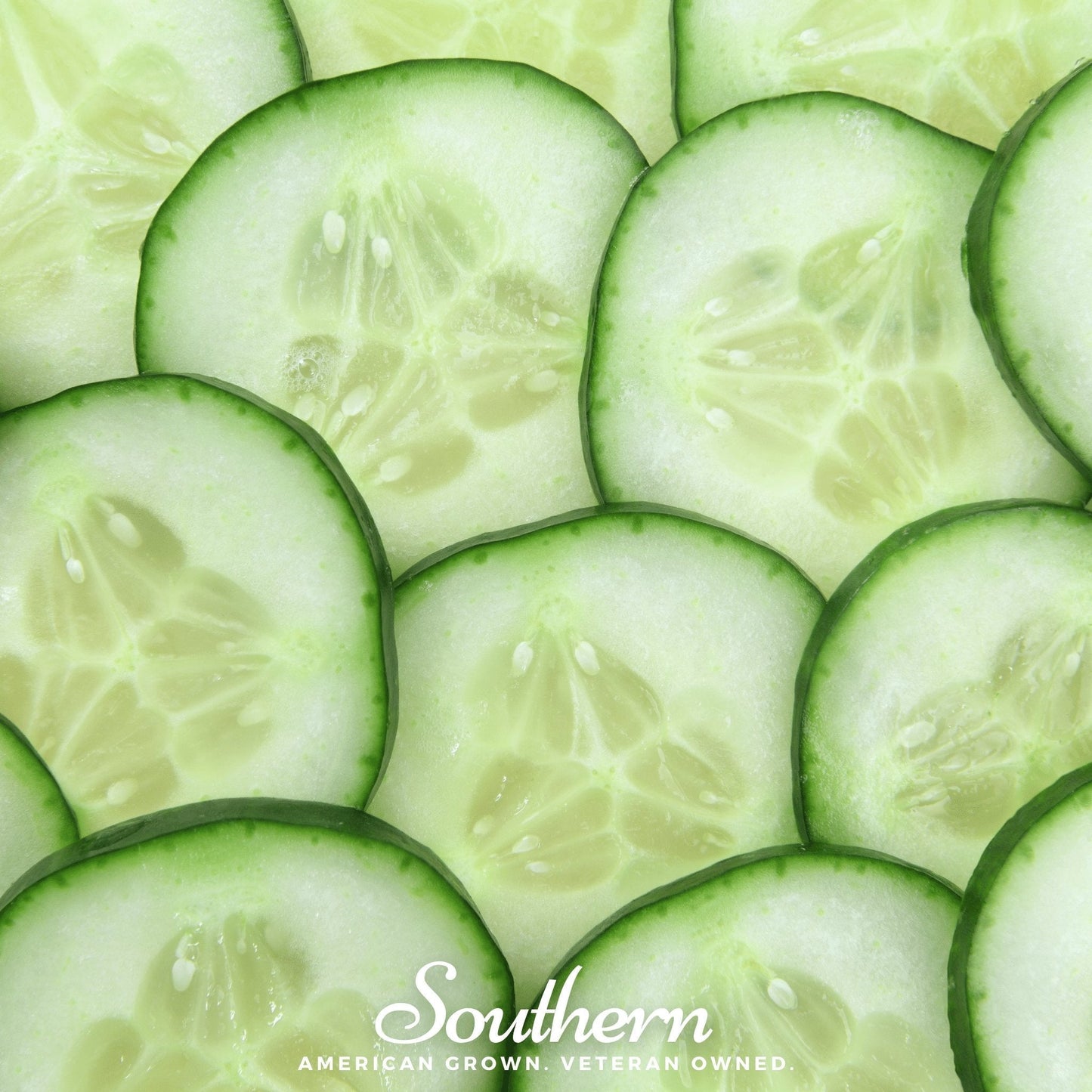 Spacemaster Cucumber ā 30 Seeds
