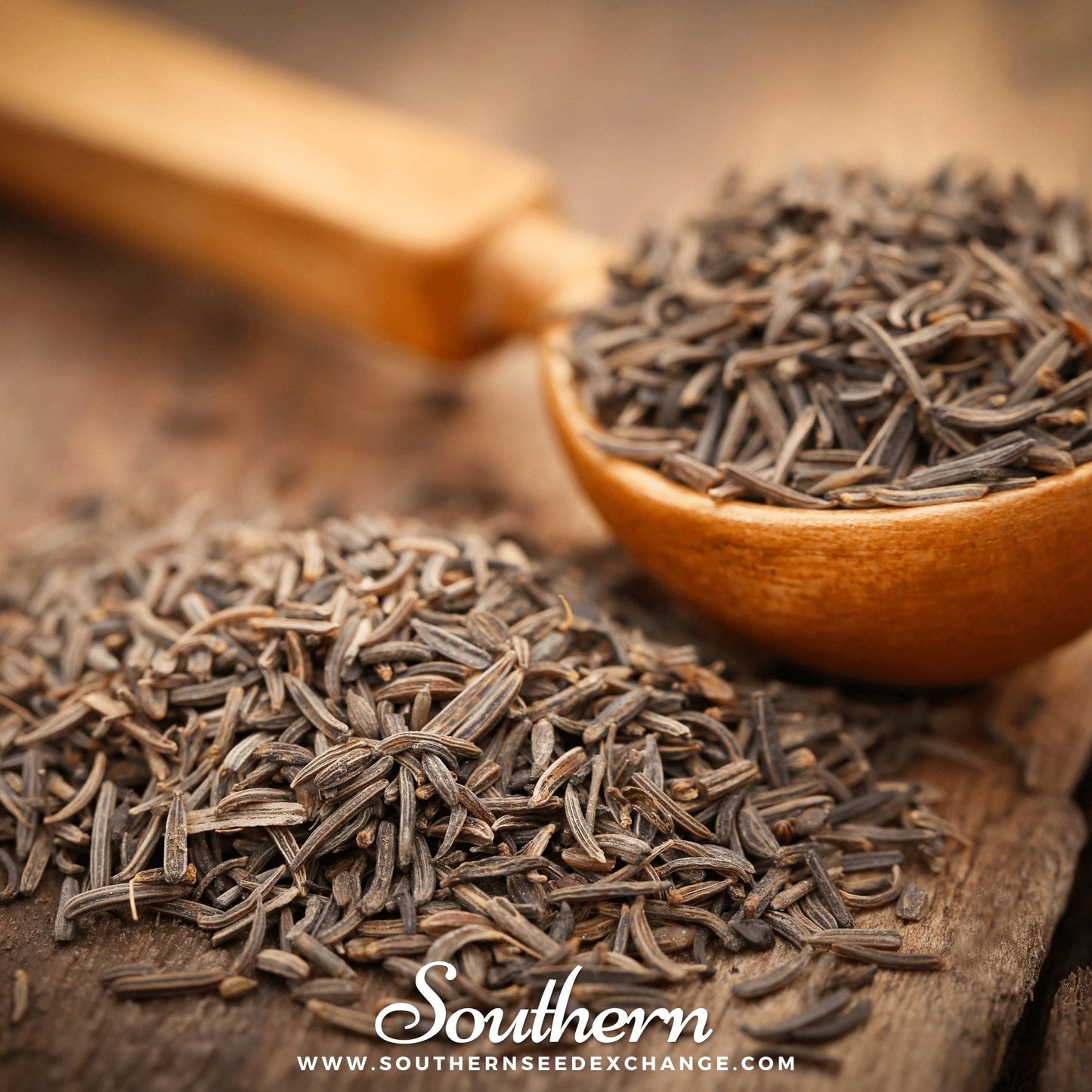 Cumin ā 100 Seeds