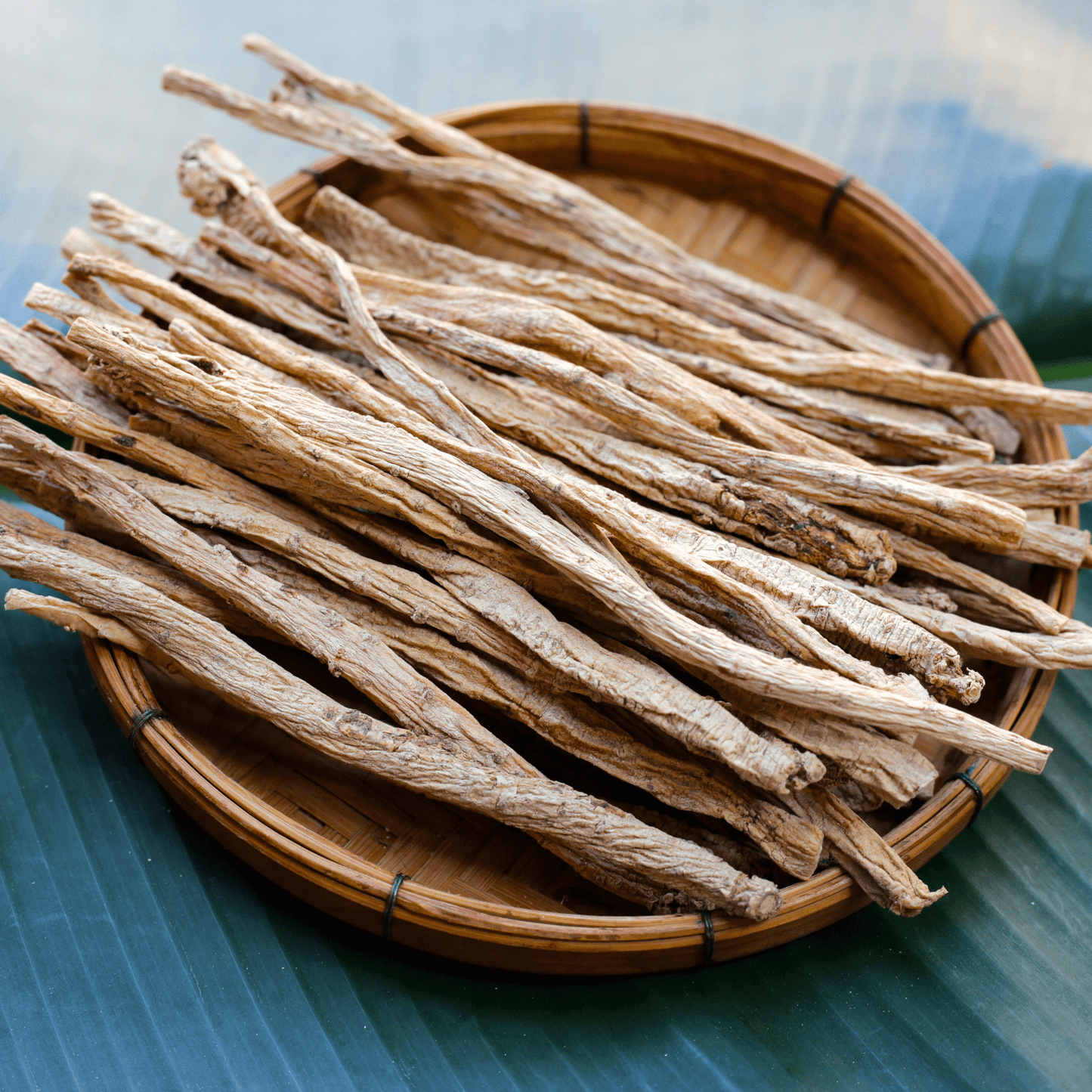 Dang-shen ā 50 Seeds