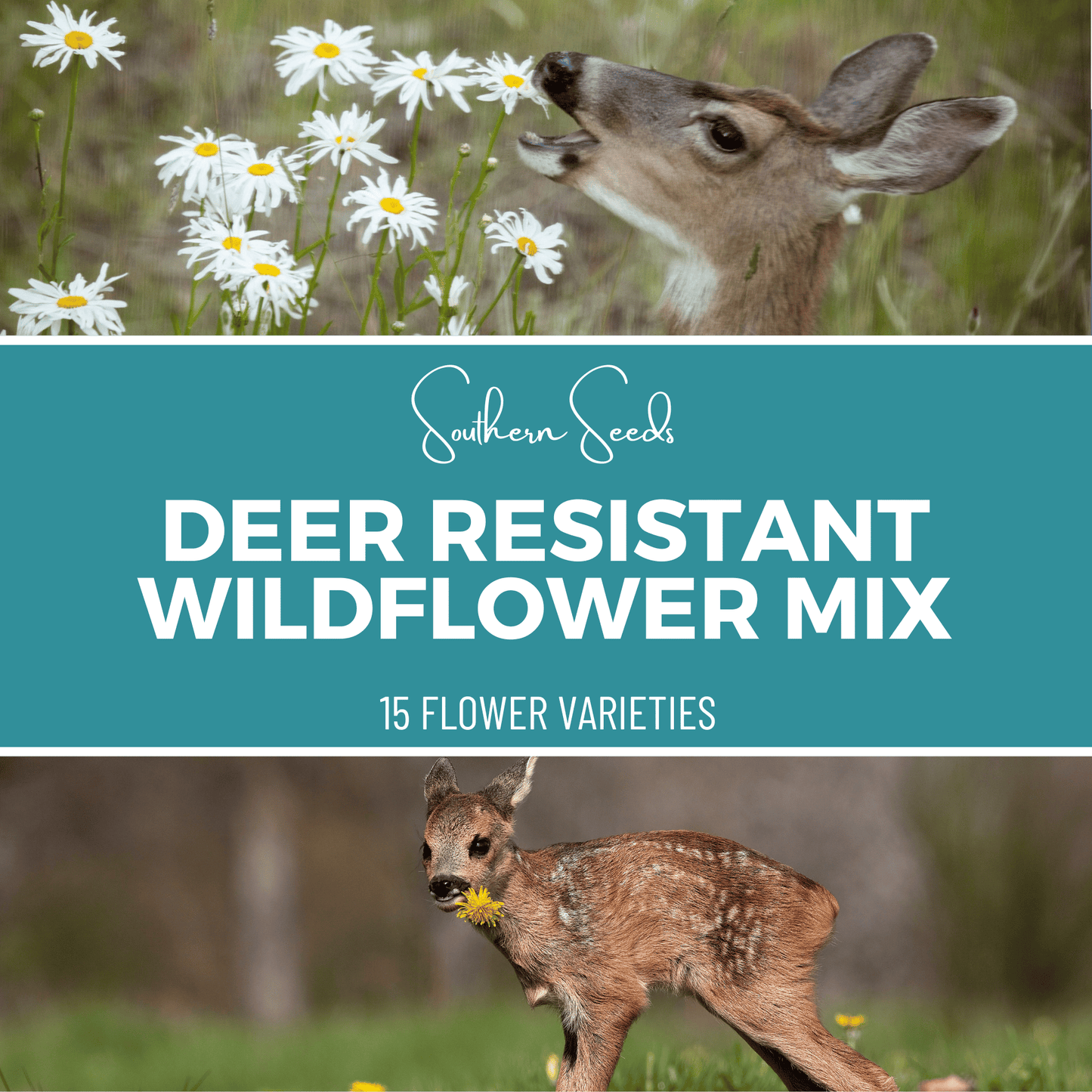 Deer Resistant Wildflower Seed Mix (15 Varieties) ā 1,000 Seeds