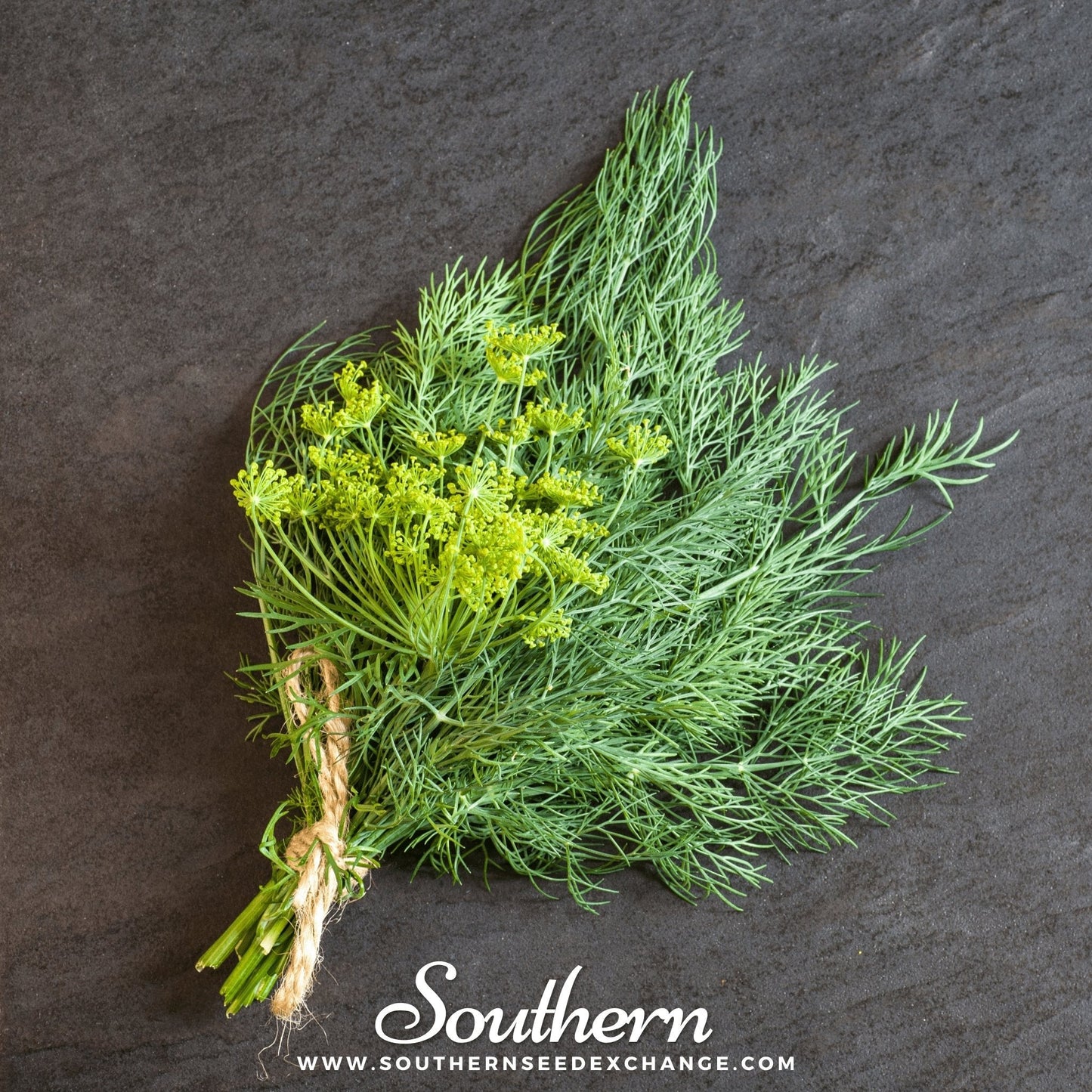 Bouquet Dill ā 100 Seeds