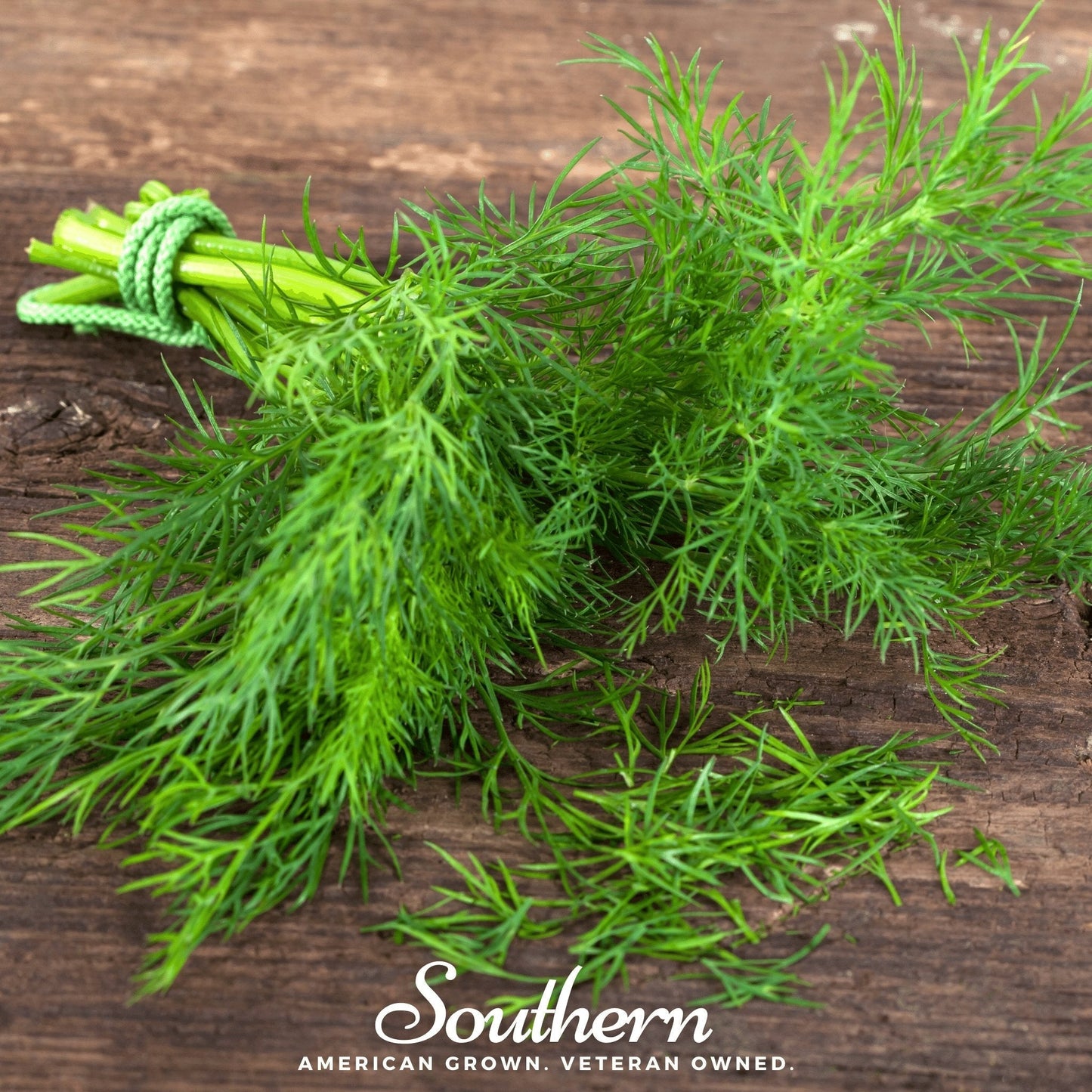 Dukat Dill ā 100 Seeds