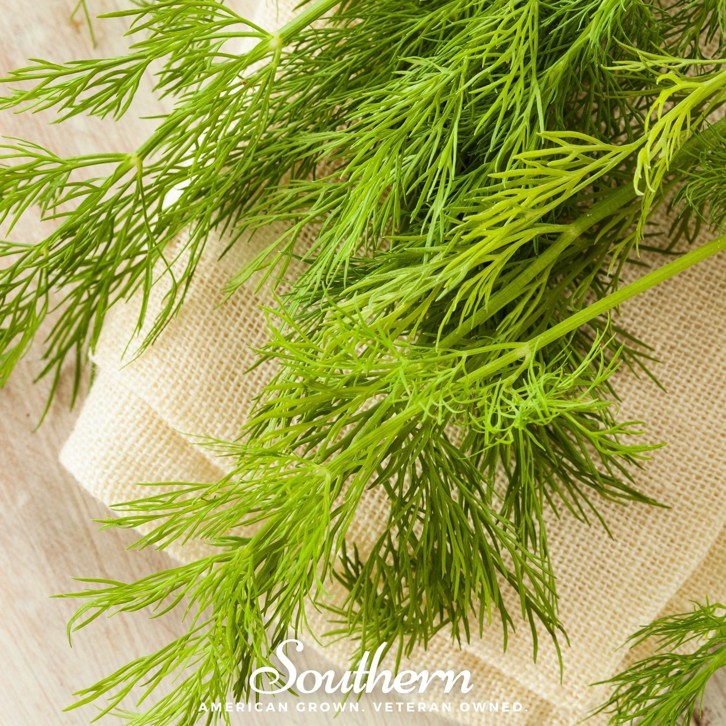 Mammoth Long Island Dill ā 100 Seeds