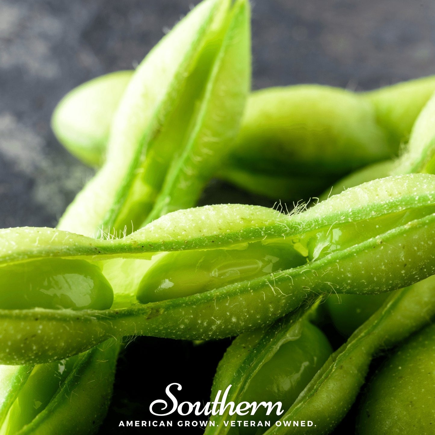 Be Sweet Edamame Soybean (Bush) ā 20 Seeds