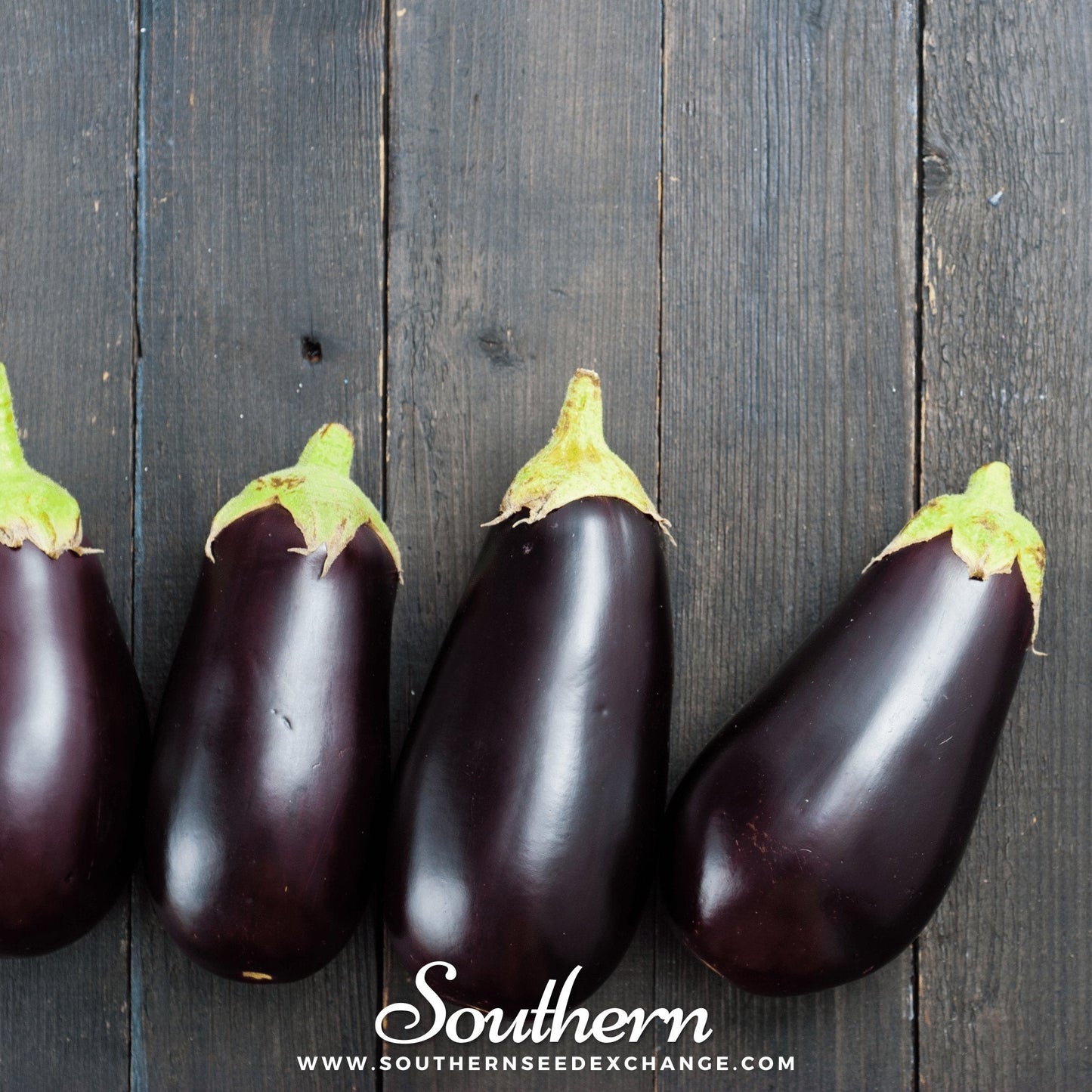 Black Beauty Eggplant ā 50 Seeds