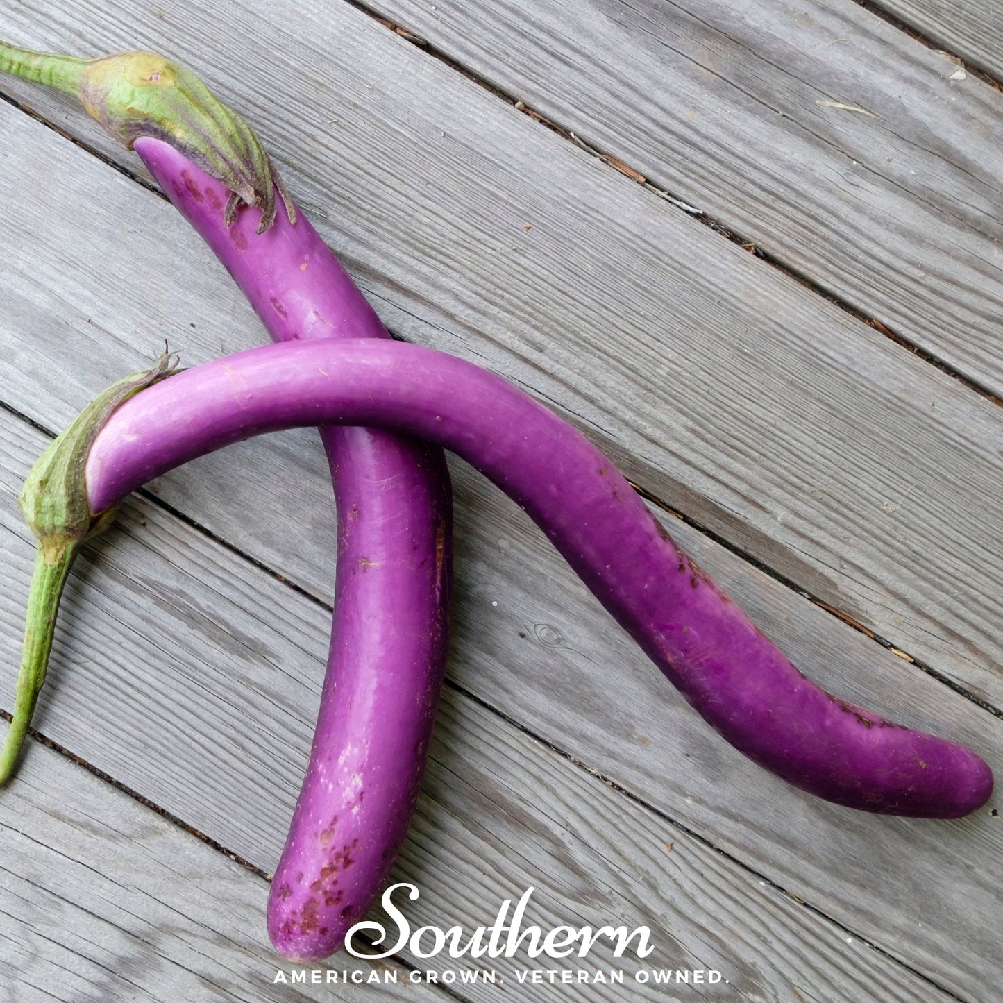 Long Purple Eggplant ā 50 Seeds