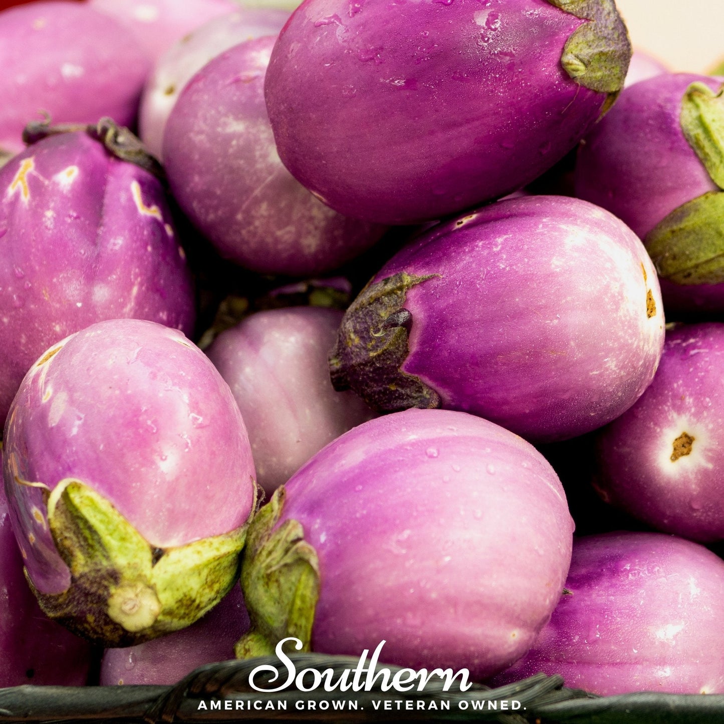 Rosa Bianca Eggplant ā 50 Seeds