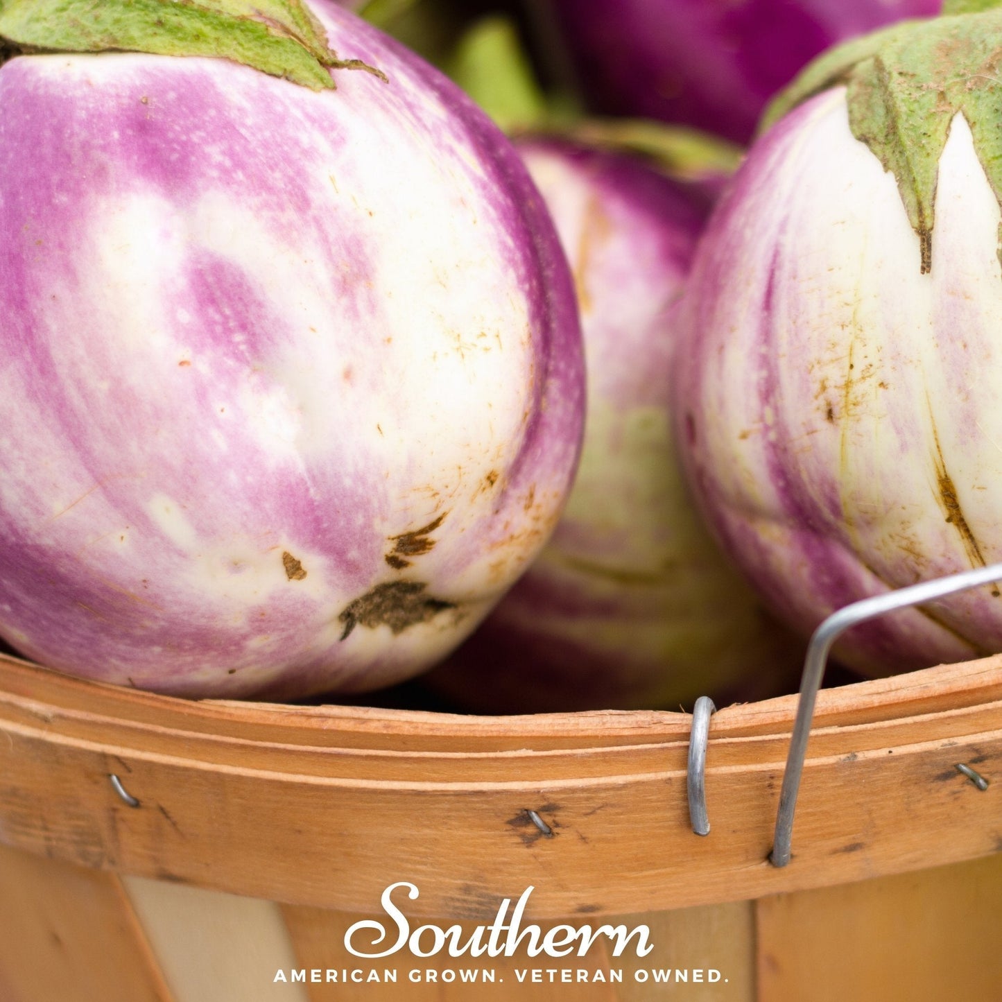 Rosa Bianca Eggplant ā 50 Seeds