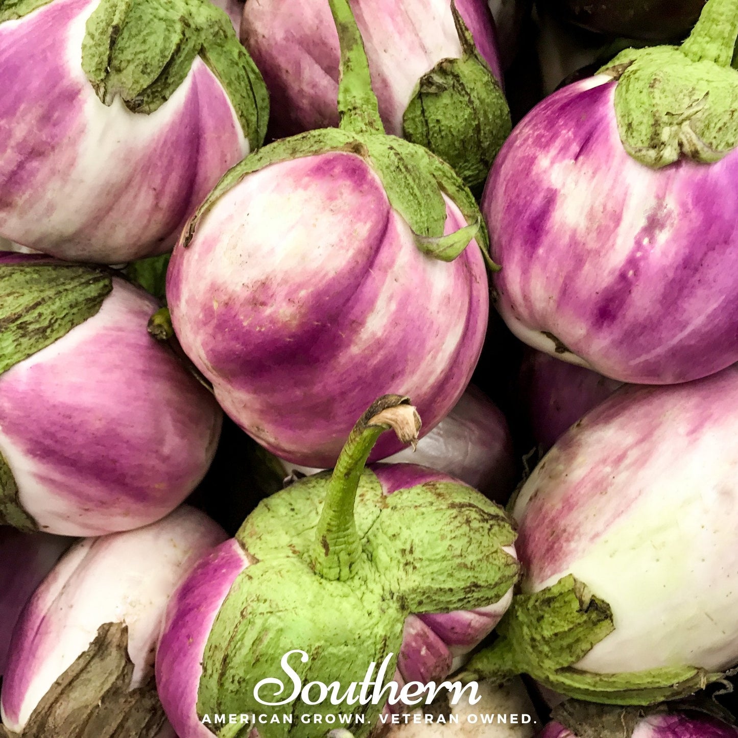 Rosa Bianca Eggplant ā 50 Seeds