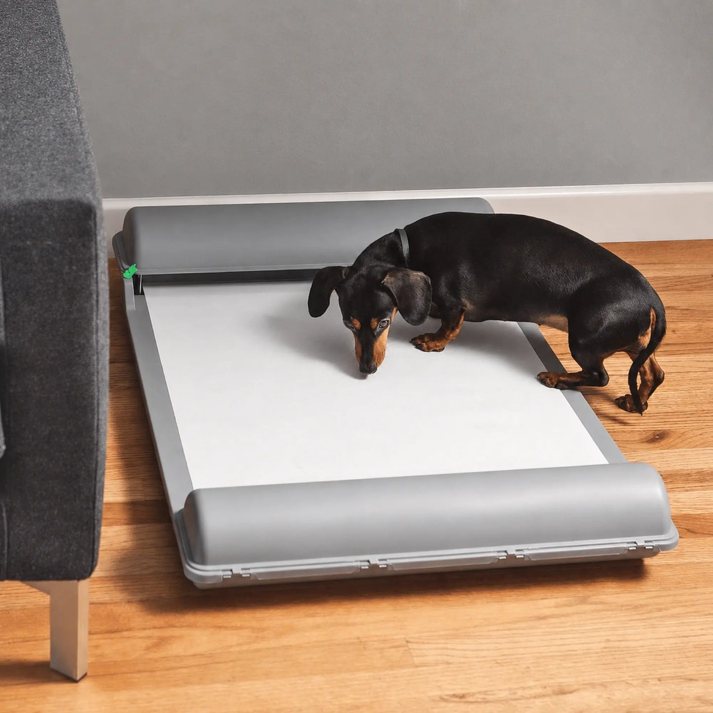 BrilliantPad Basic
