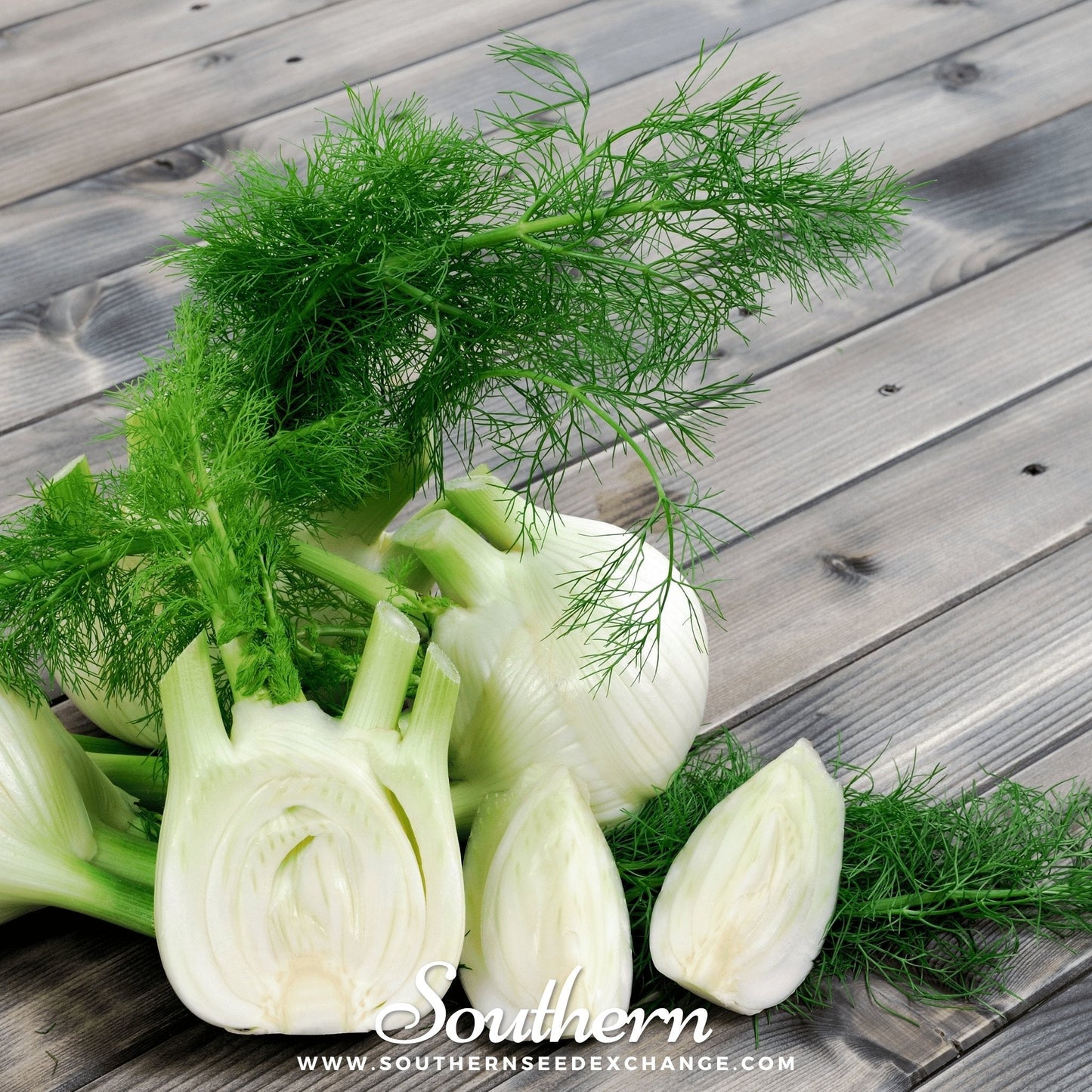 Florence Fennel ā 200 Seeds