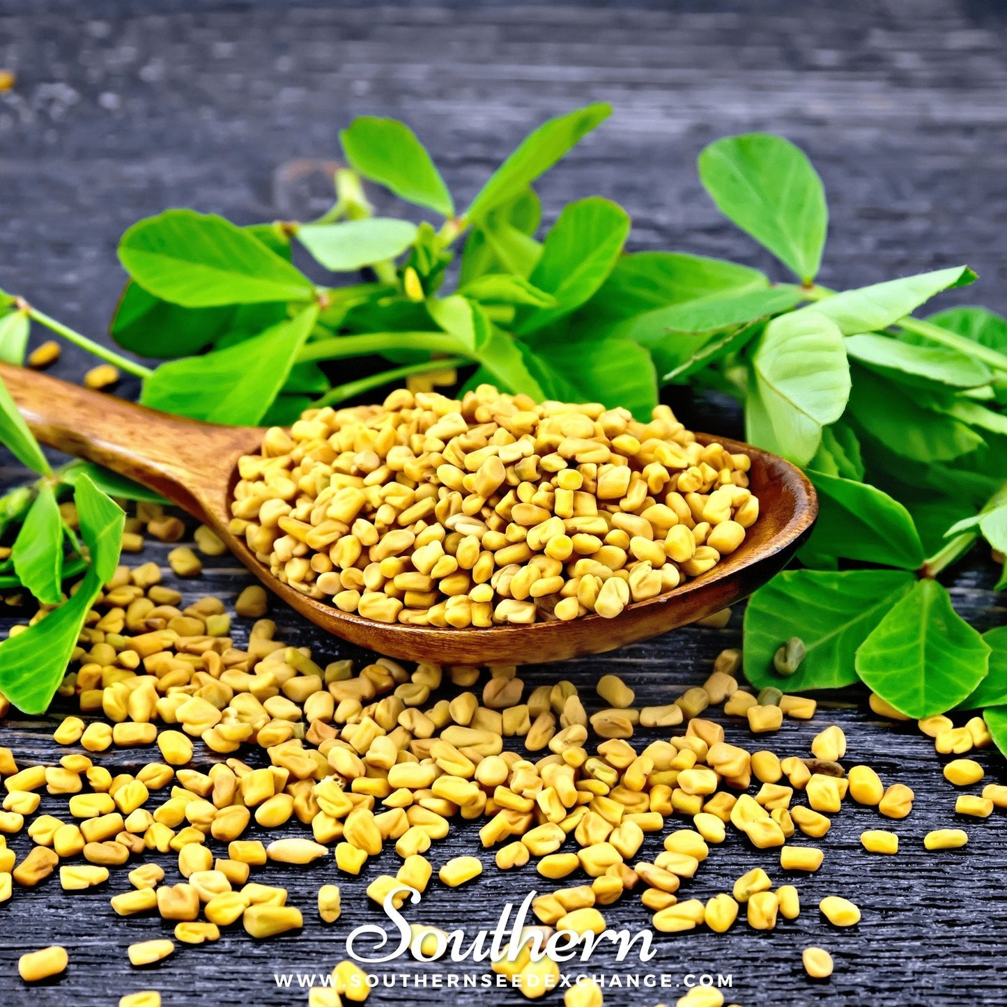 Fenugreek ā 50 Seeds