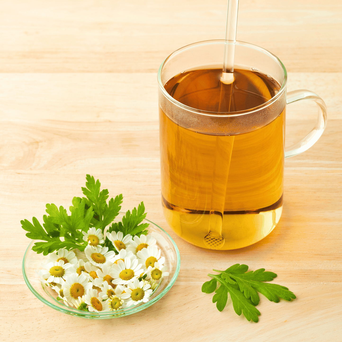 Feverfew ā 100 Seeds