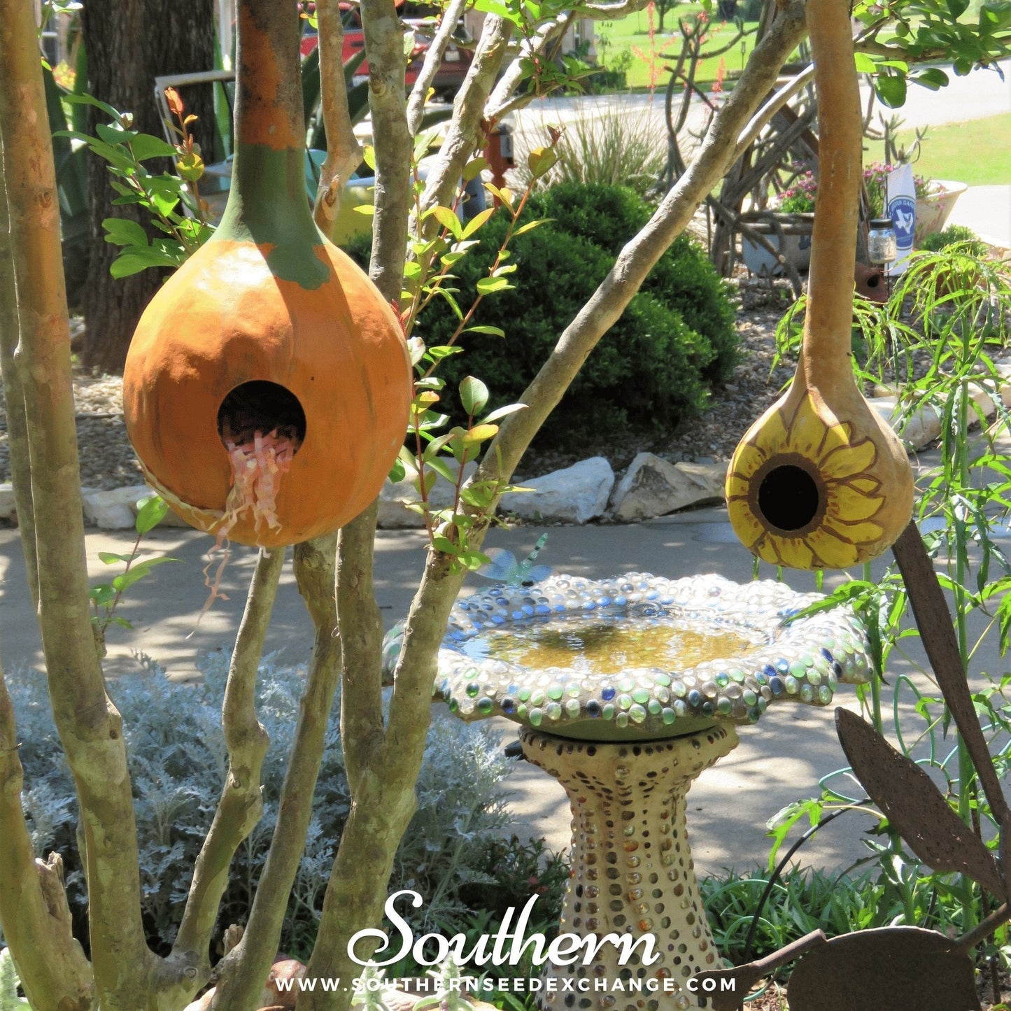 Birdhouse Bottle Gourd ā 15 Seeds
