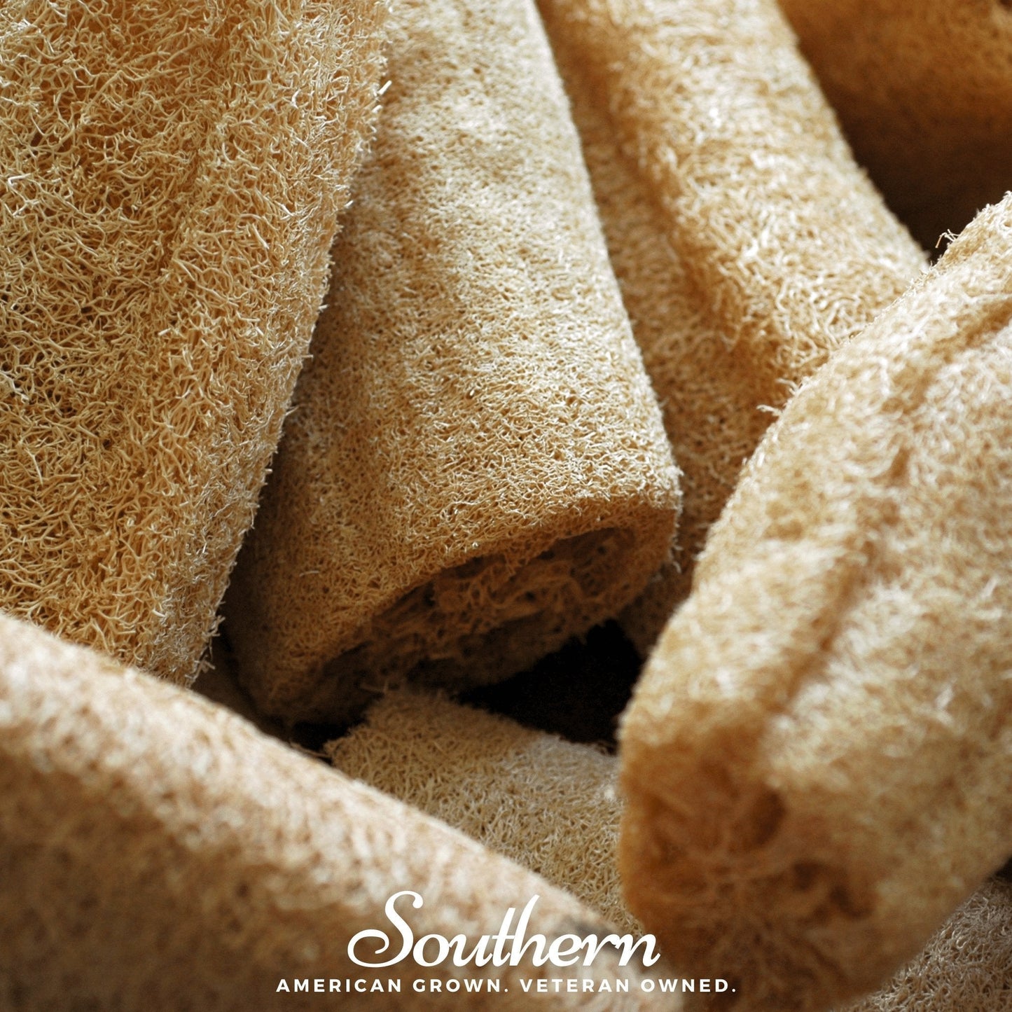 Luffa Gourd ā 20 Seeds