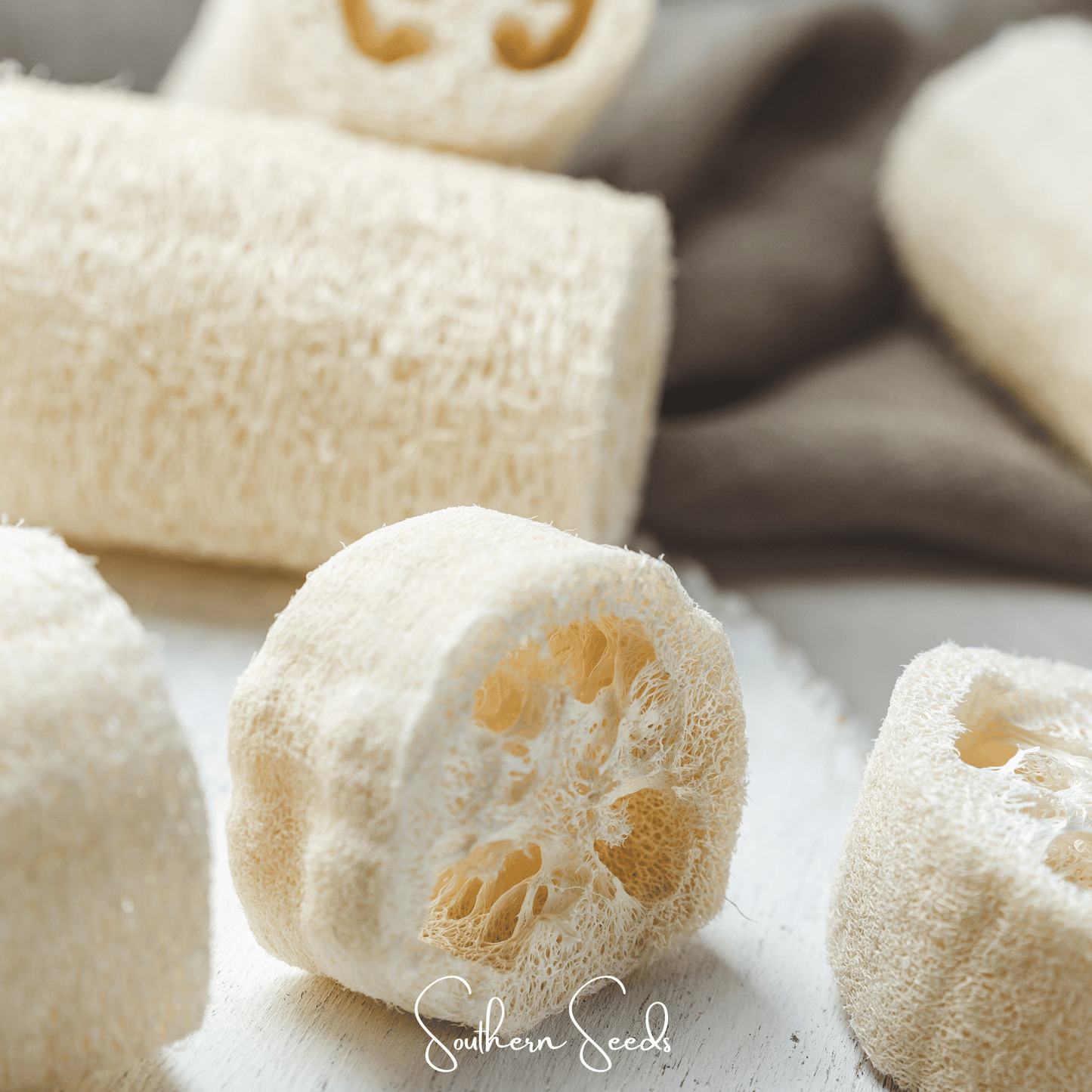 Luffa Gourd ā 20 Seeds
