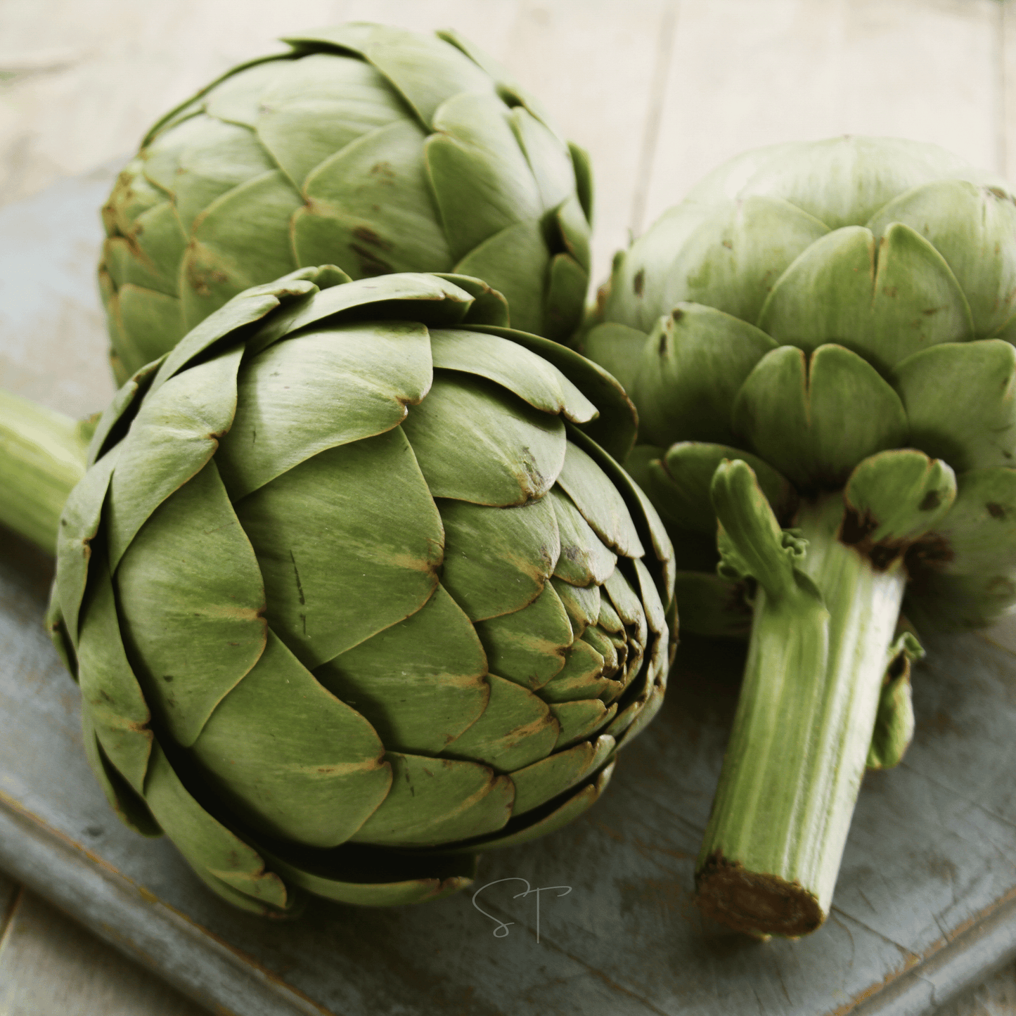 Green Globe Artichoke โ 25 Seeds