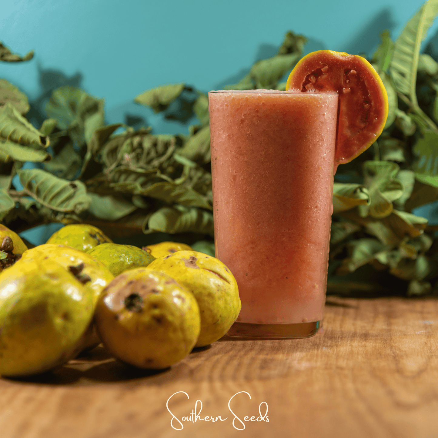 Guava ā 25 Seeds