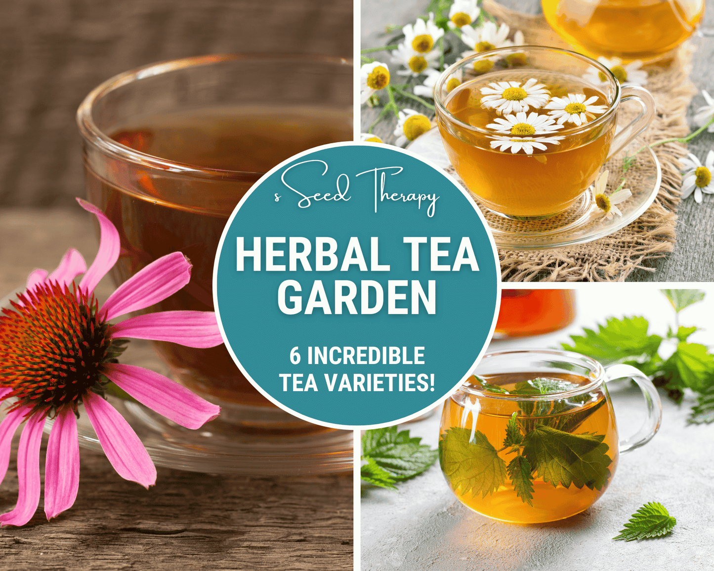 Herbal Tea Seed Collection ā 6 Varieties