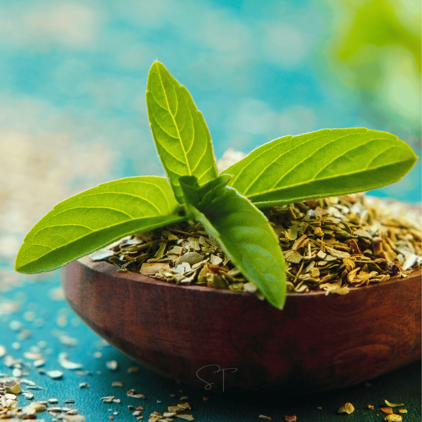 Holy Tulsi Basil ā 250 Seeds