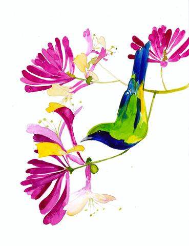 Honeysuckle Art Print – Soft Pastel Botanical Wall Décor, Archival Quality, Ready to Hang