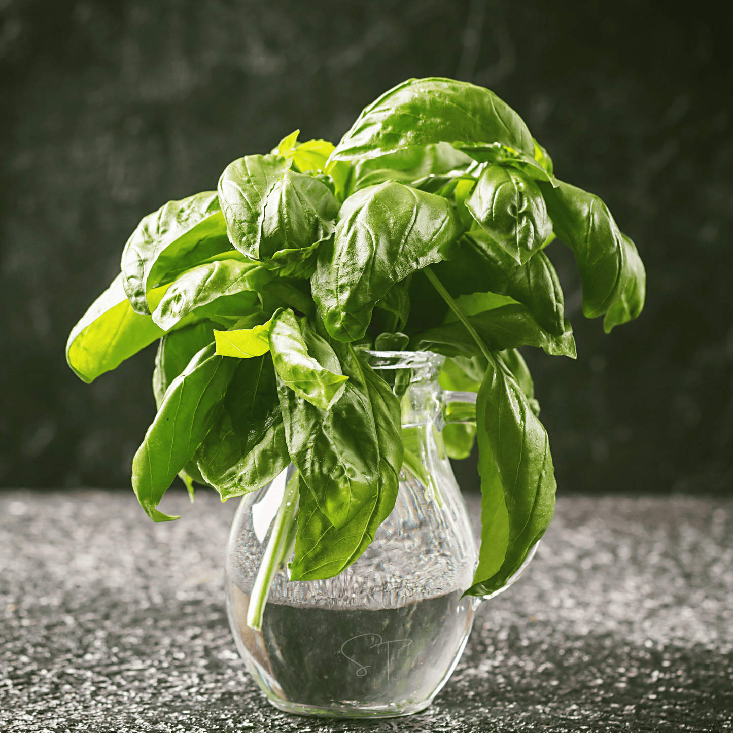 Italian Large Leaf Basil ā 250 Seeds