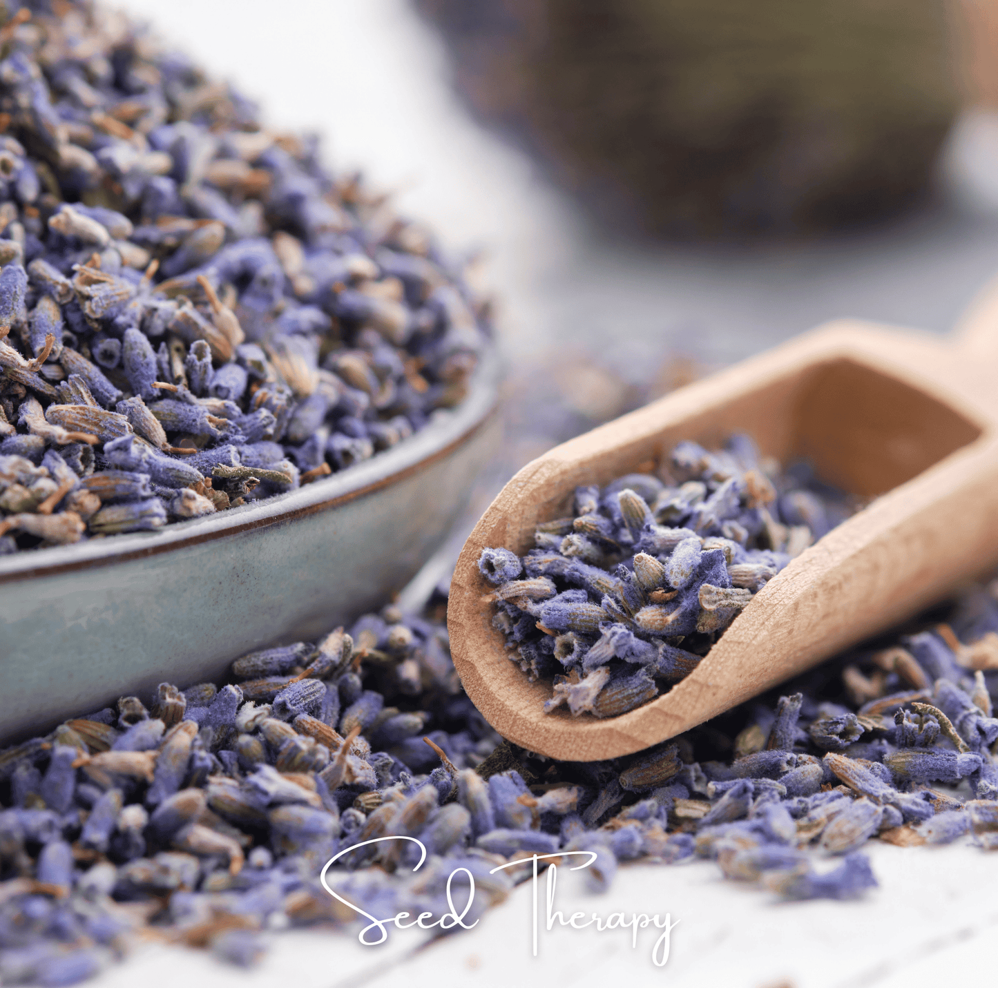 English Lavender ā 100 Seeds