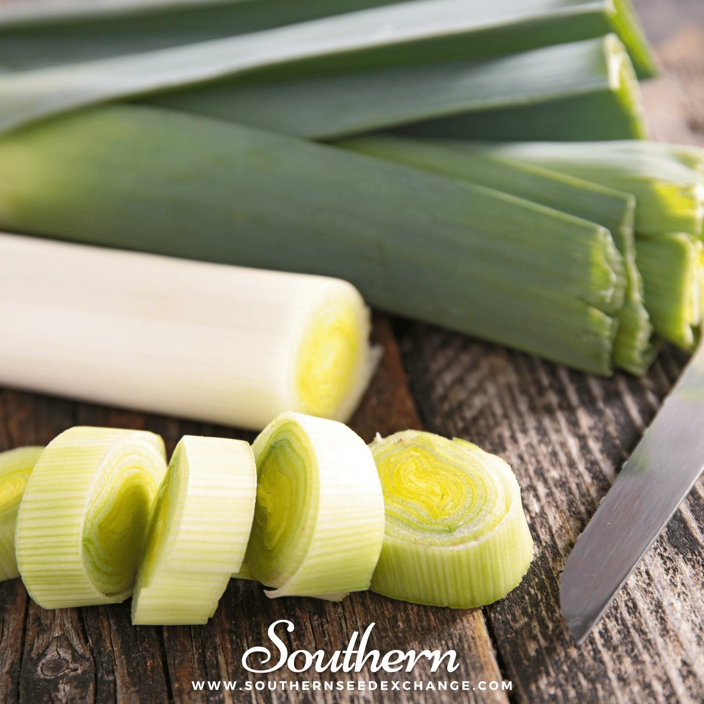 Giant Musselburgh Leek ā 200 Seeds