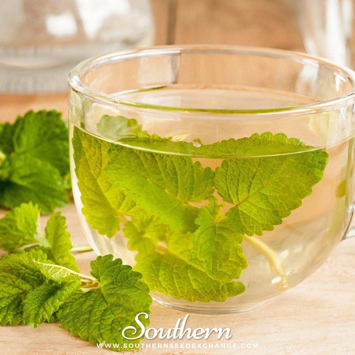 Lemon Balm ā 100 Seeds