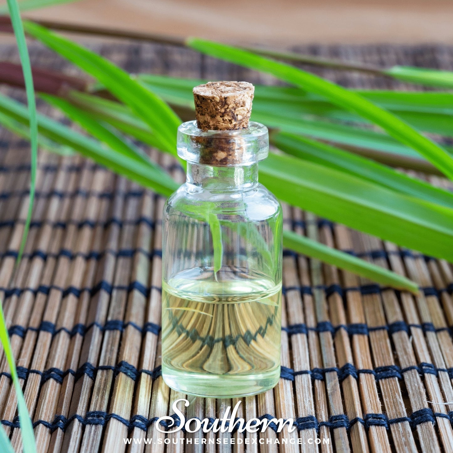 Lemon Grass ā 100 Seeds