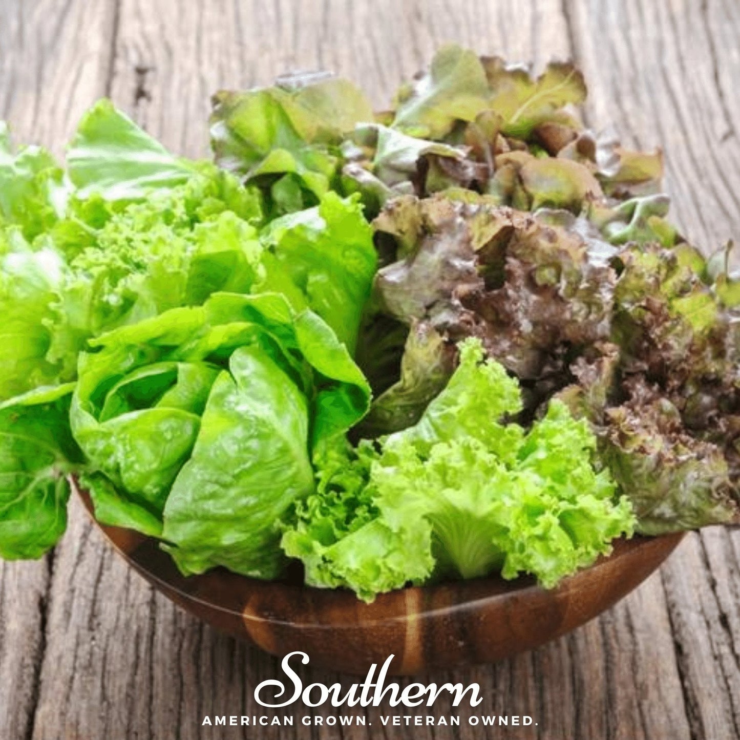 Bibb Summer Lettuce ā 500 Seeds