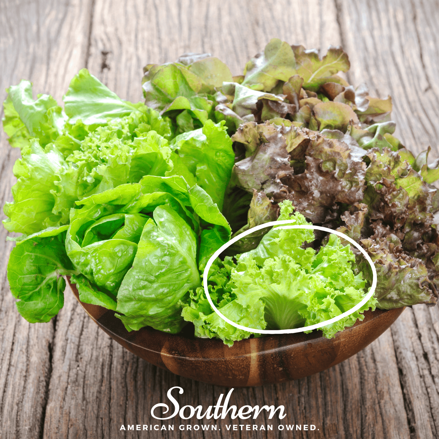 Green Ice Lettuce ā 500 Seeds